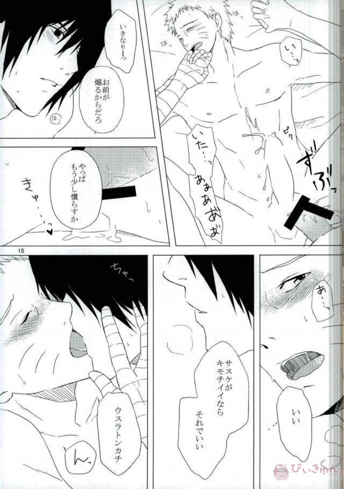 英雄の鳥籠【NARUTO/サスナル】 page 16