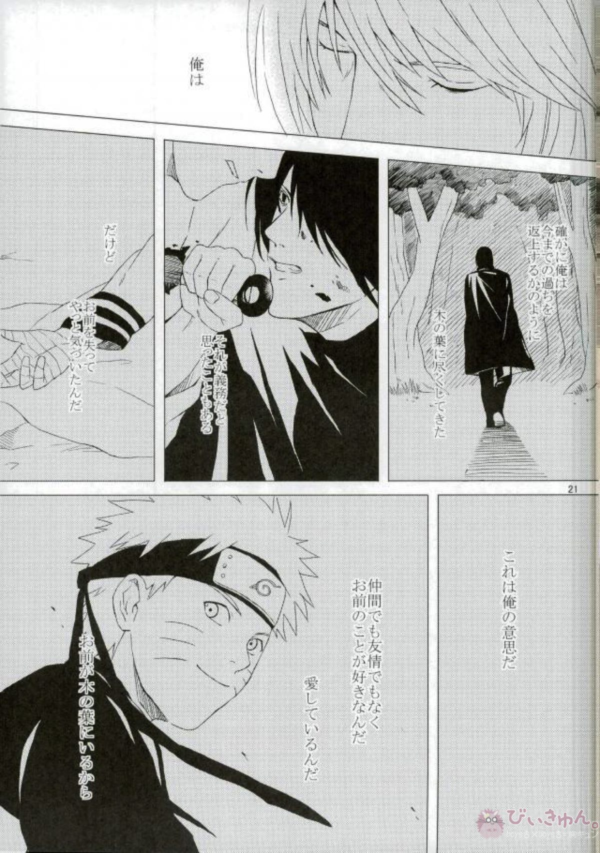 英雄の鳥籠【NARUTO/サスナル】 page 22