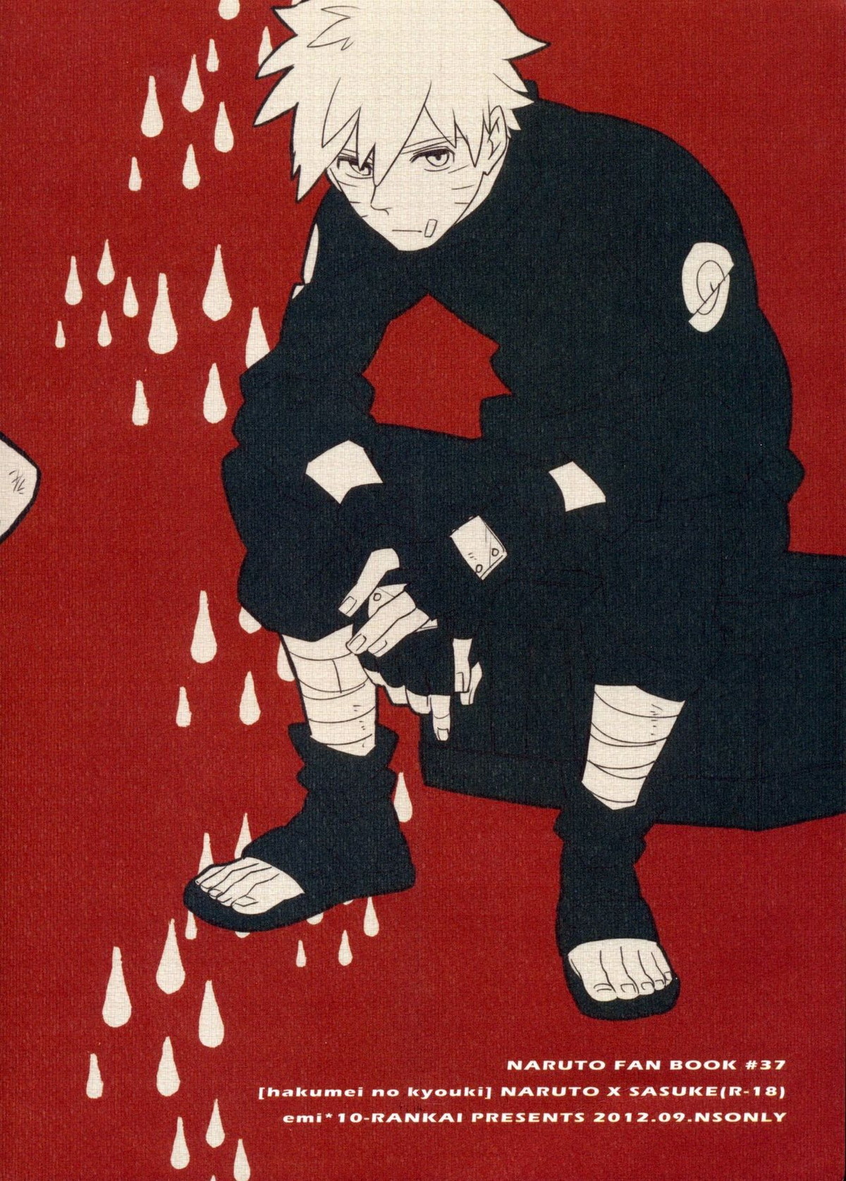 薄明の狂気【NARUTO/ナルサス】 page 22