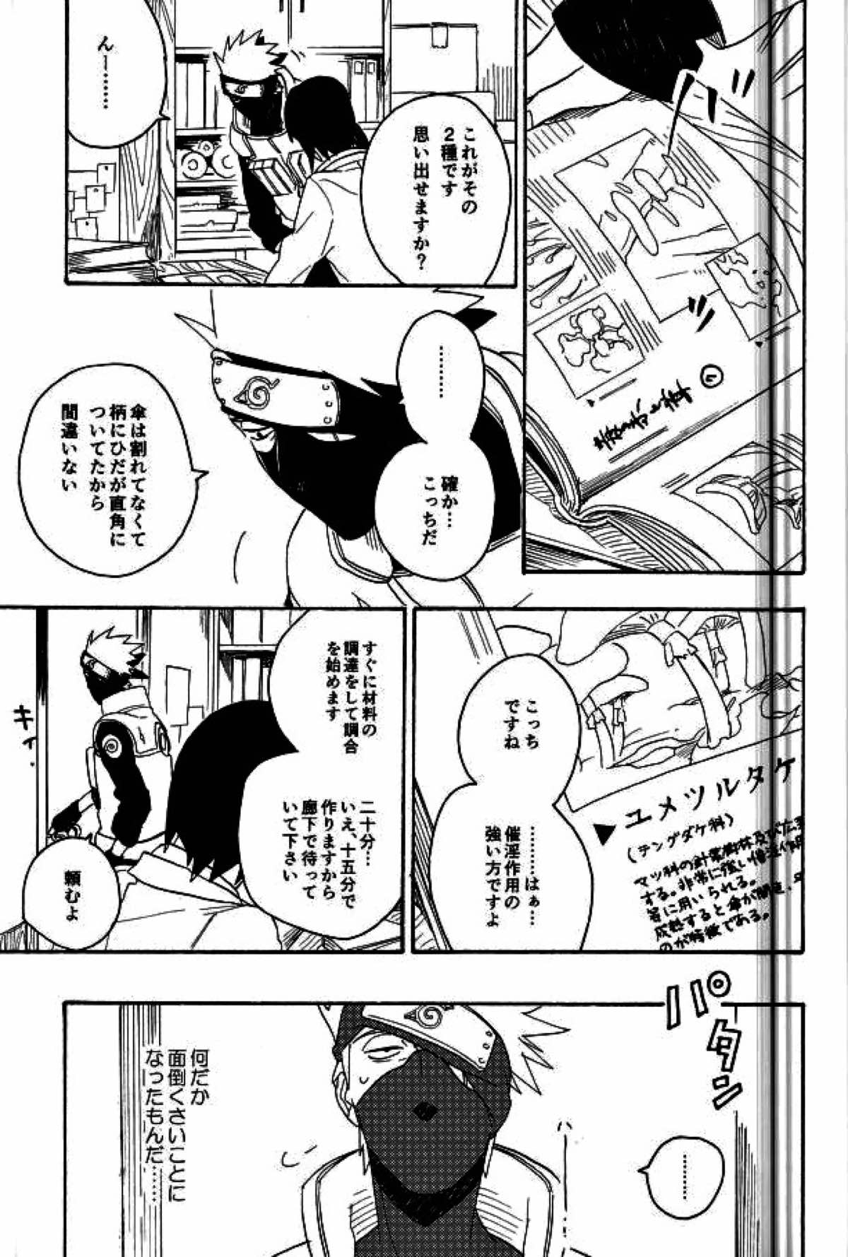 リビドーの誘い【NARUTO/カカナル】 page 17