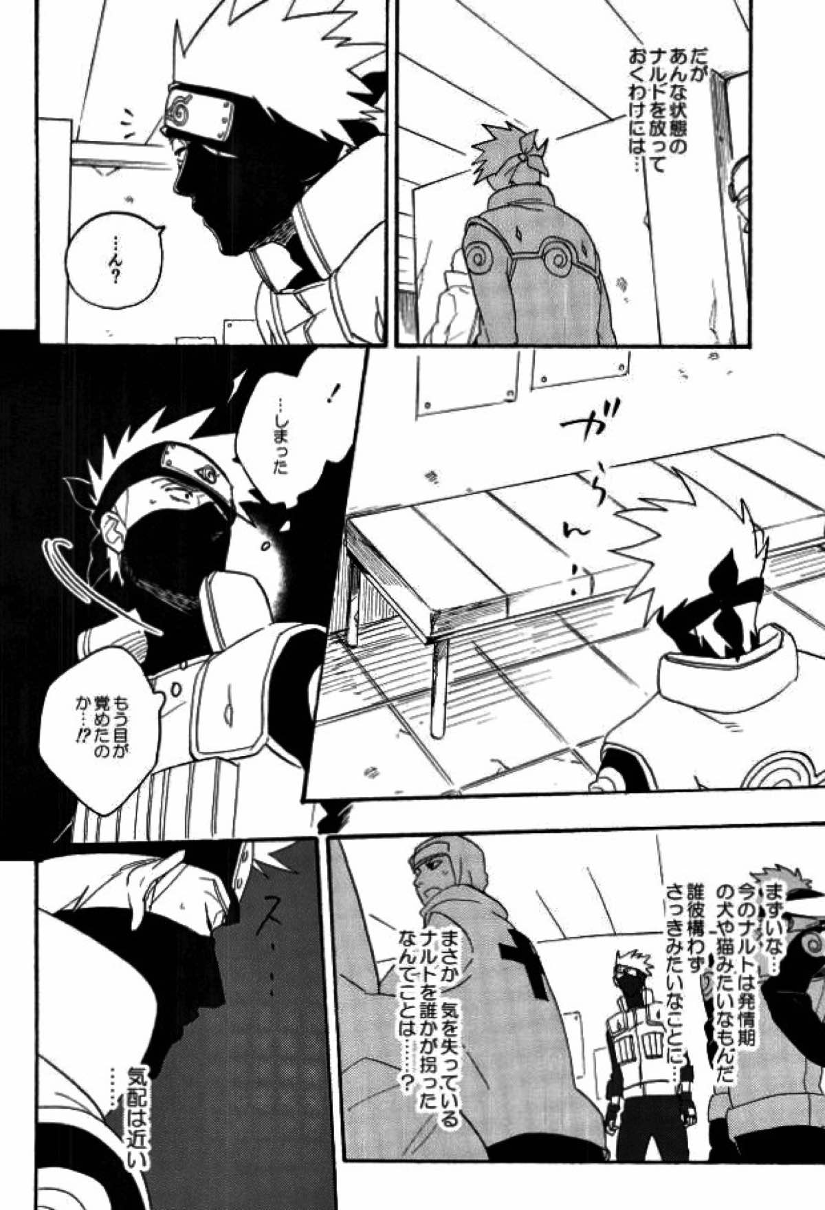 リビドーの誘い【NARUTO/カカナル】 page 18