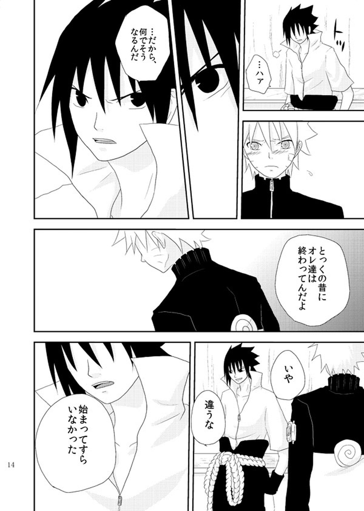 スターチス【NARUTO/サスナル】 page 15