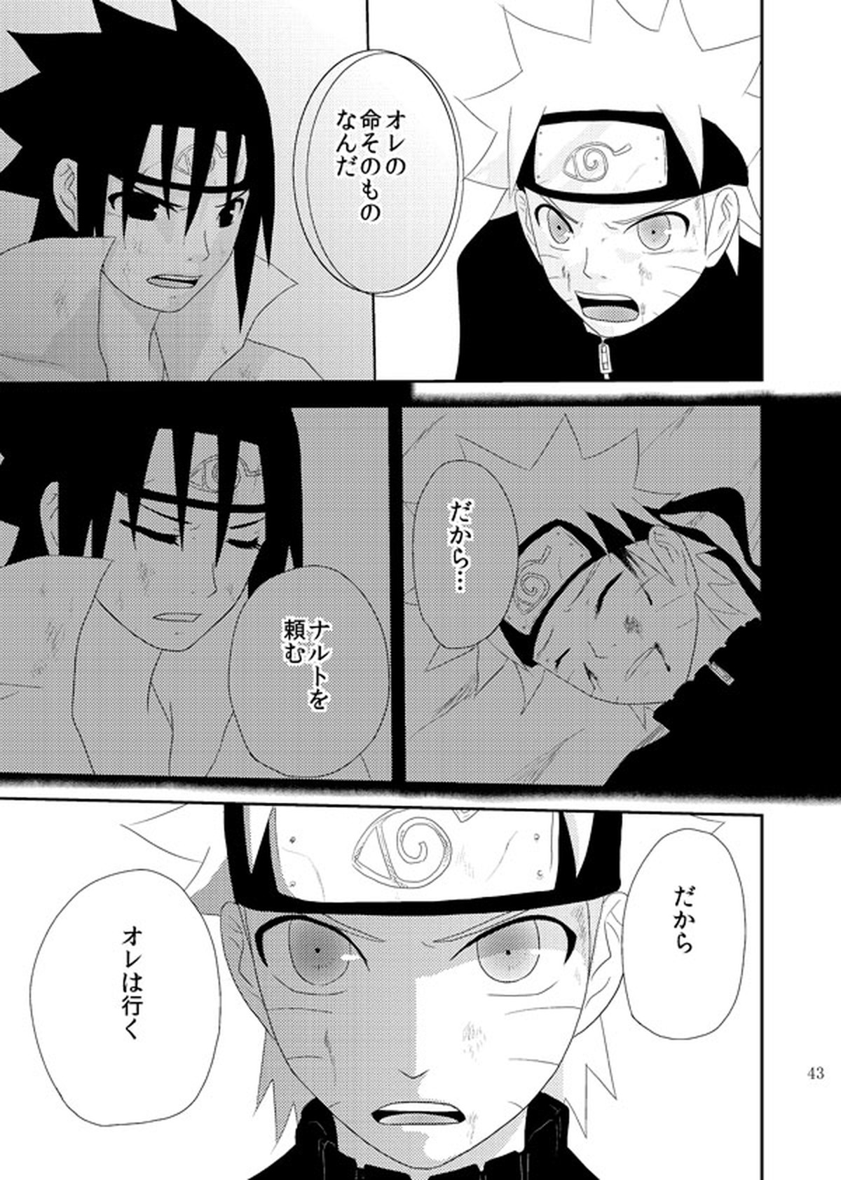スターチス【NARUTO/サスナル】 page 44