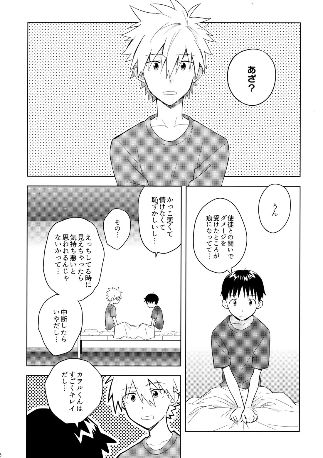 美しきひと【新世紀エヴァンゲリオン/カヲシン】 page 17
