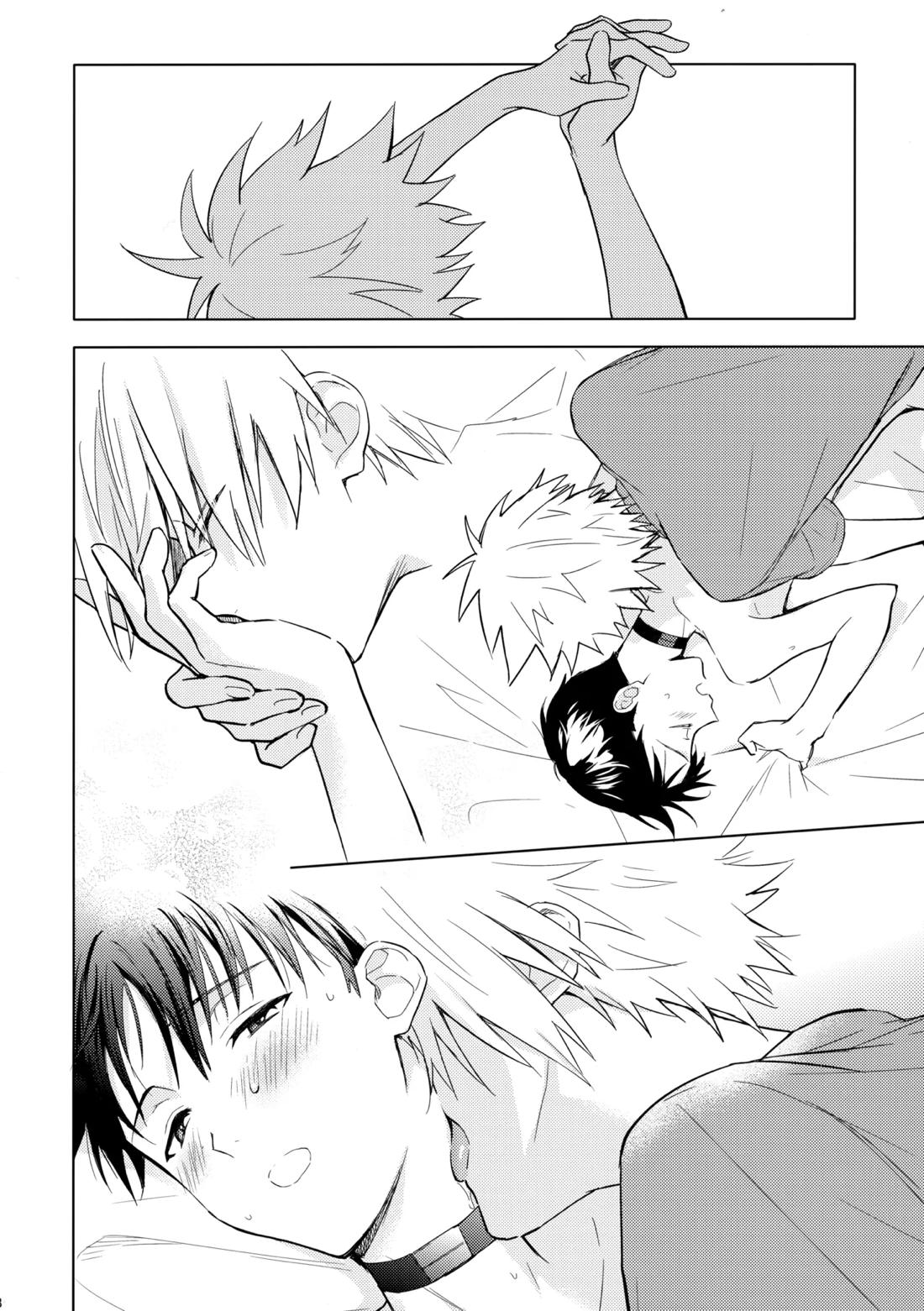 美しきひと【新世紀エヴァンゲリオン/カヲシン】 page 27