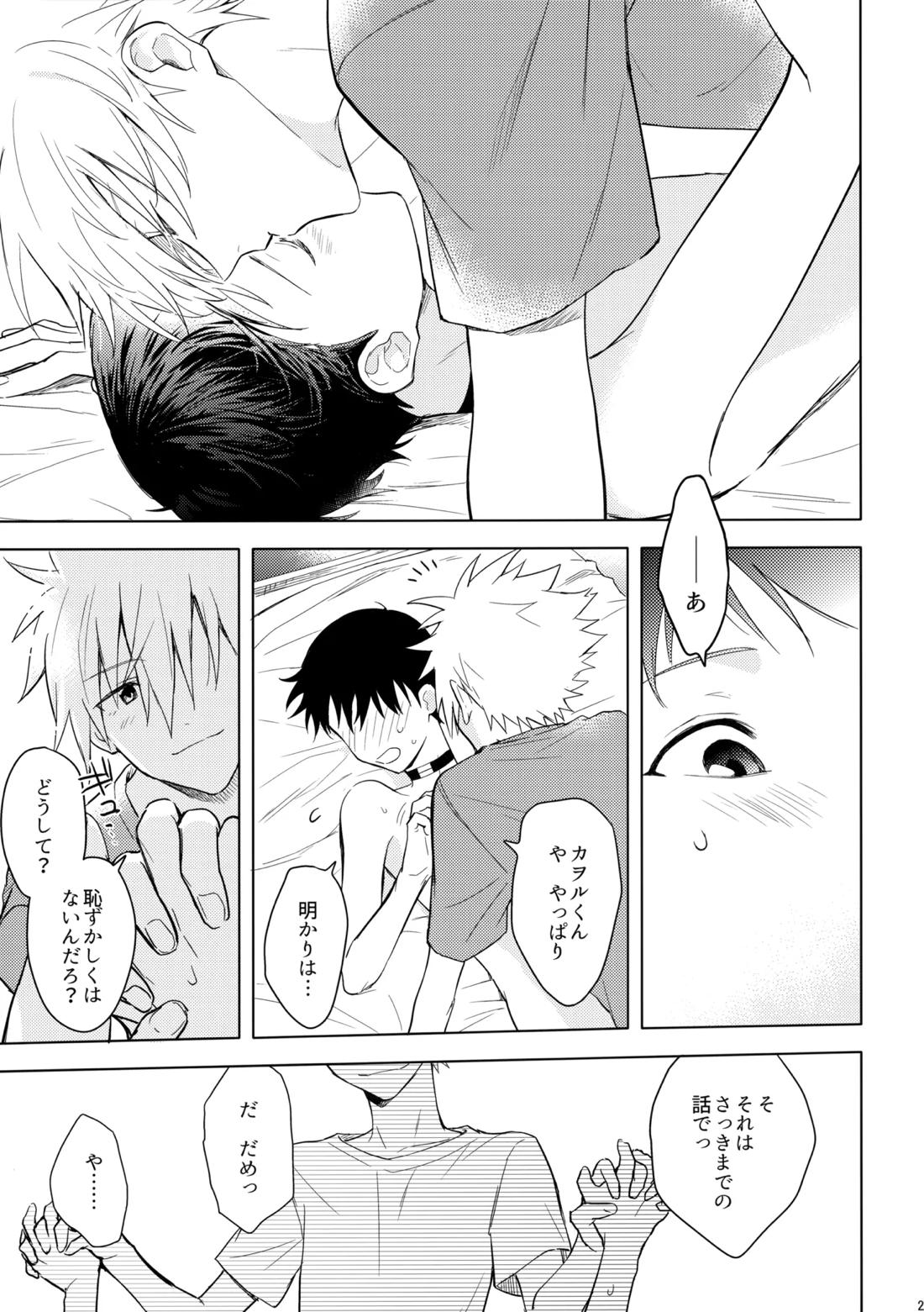 美しきひと【新世紀エヴァンゲリオン/カヲシン】 page 28