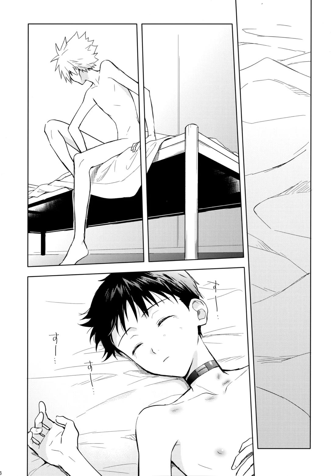 美しきひと【新世紀エヴァンゲリオン/カヲシン】 page 45
