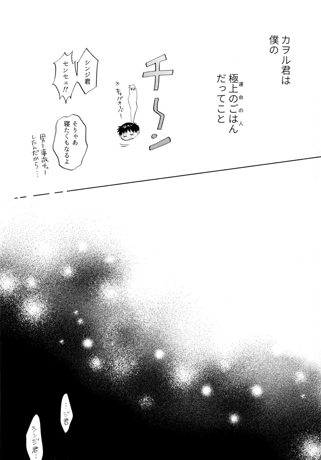 いまからごちそう。【新世紀エヴァンゲリオン/カヲシン】 page 11