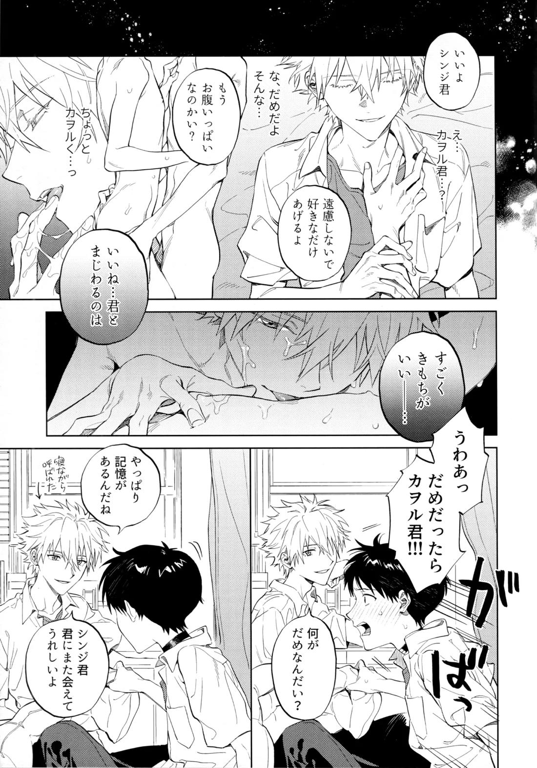いまからごちそう。【新世紀エヴァンゲリオン/カヲシン】 page 12