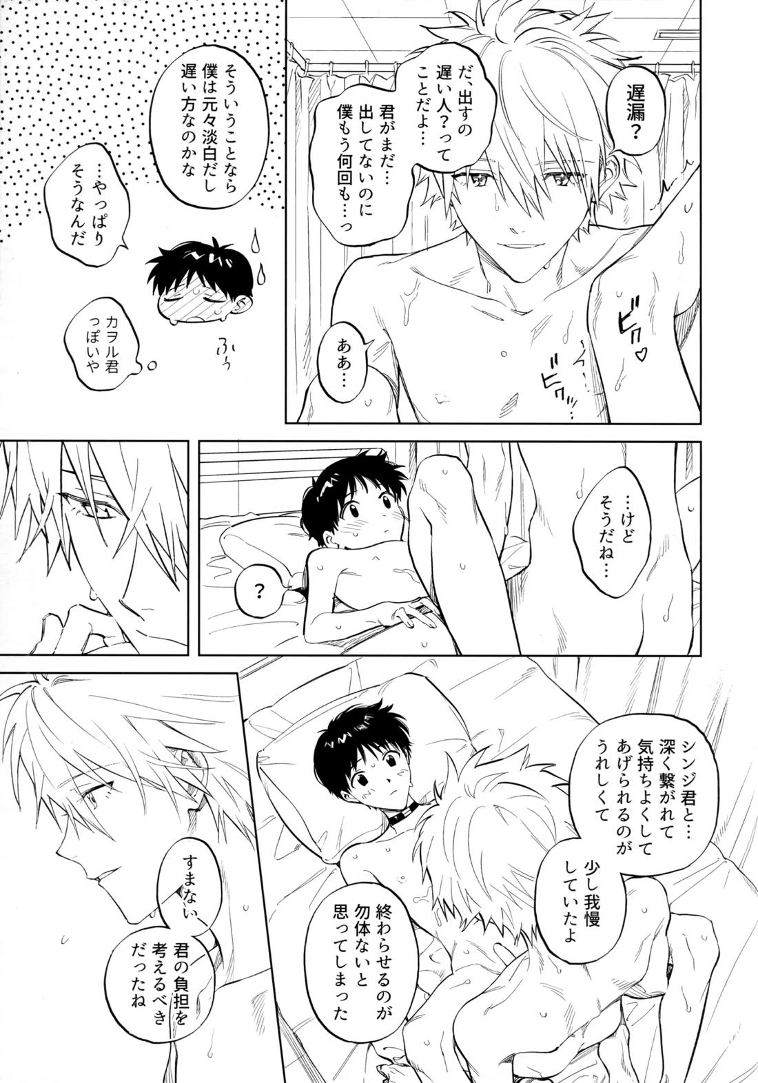 いまからごちそう。【新世紀エヴァンゲリオン/カヲシン】 page 18