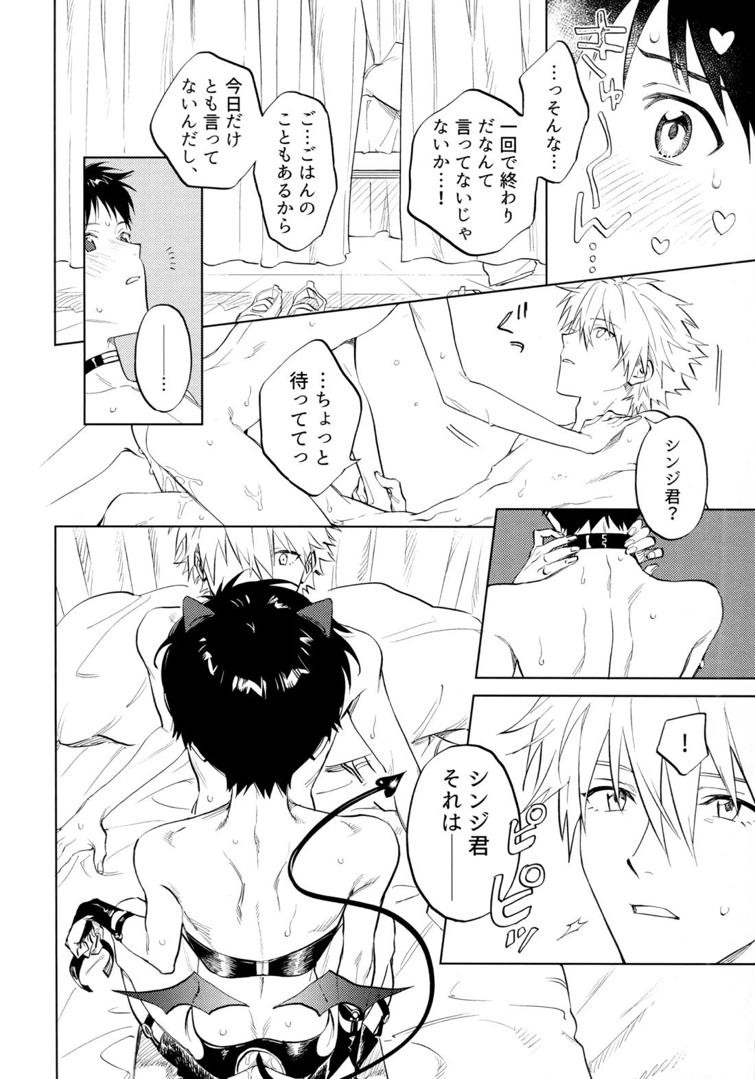 いまからごちそう。【新世紀エヴァンゲリオン/カヲシン】 page 19