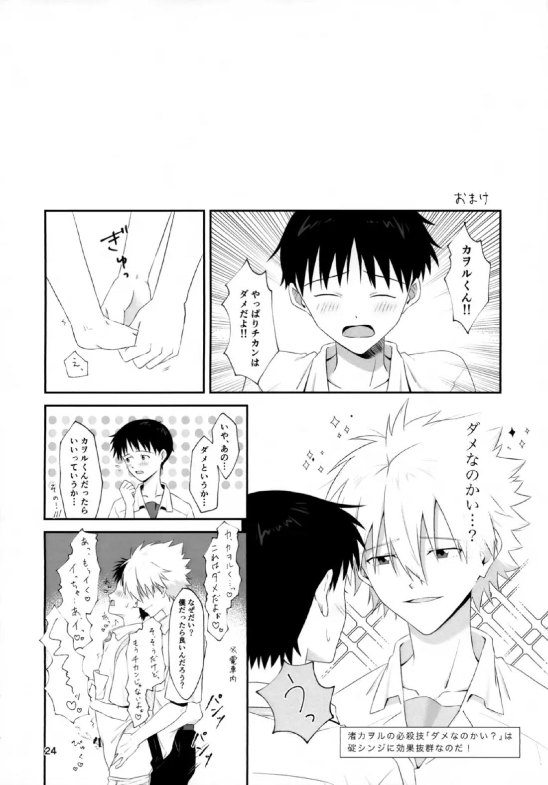 チカンはダメだよ渚くん！【新世紀エヴァンゲリオン/カヲシン】 page 22