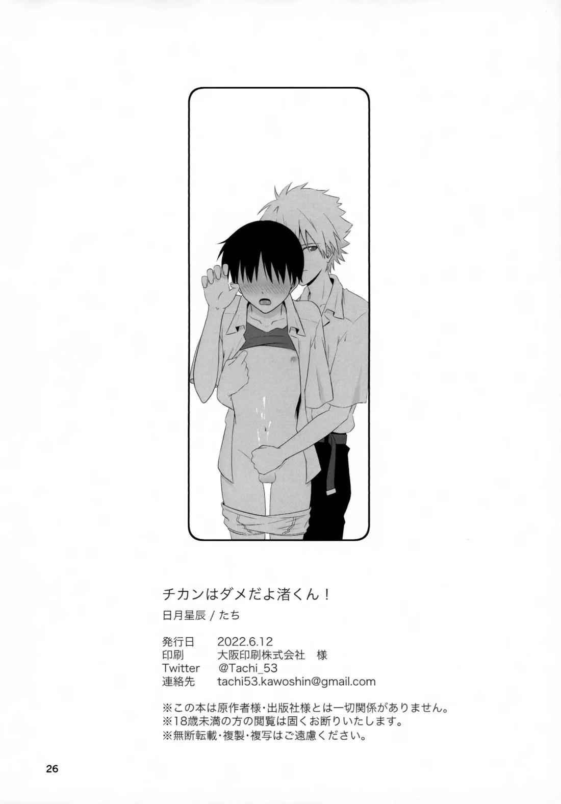 チカンはダメだよ渚くん！【新世紀エヴァンゲリオン/カヲシン】 page 24