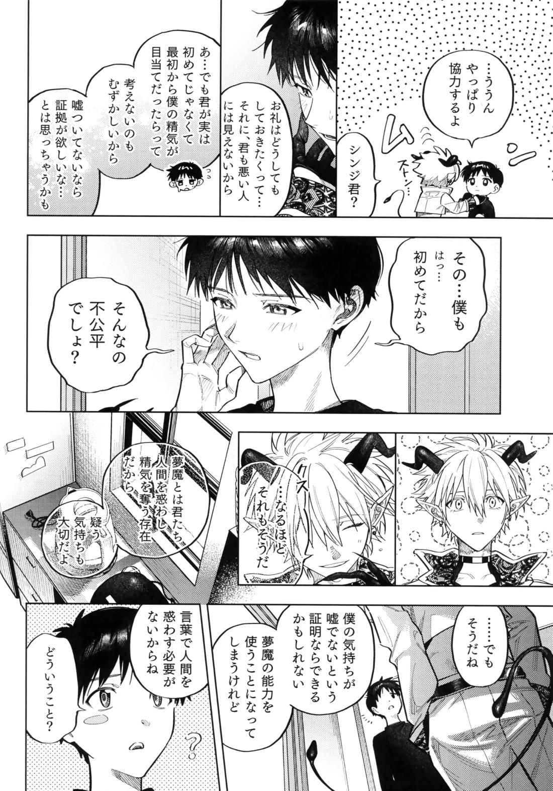アイを捧ぐ問題児【新世紀エヴァンゲリオン/カヲシン】 page 13
