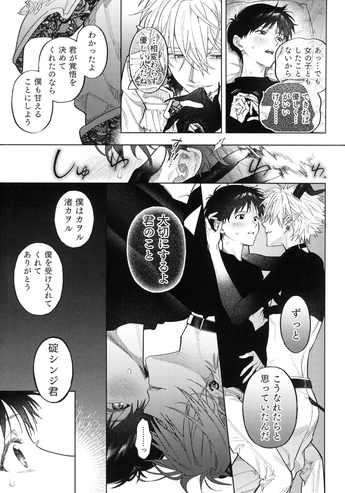 アイを捧ぐ問題児【新世紀エヴァンゲリオン/カヲシン】 page 20