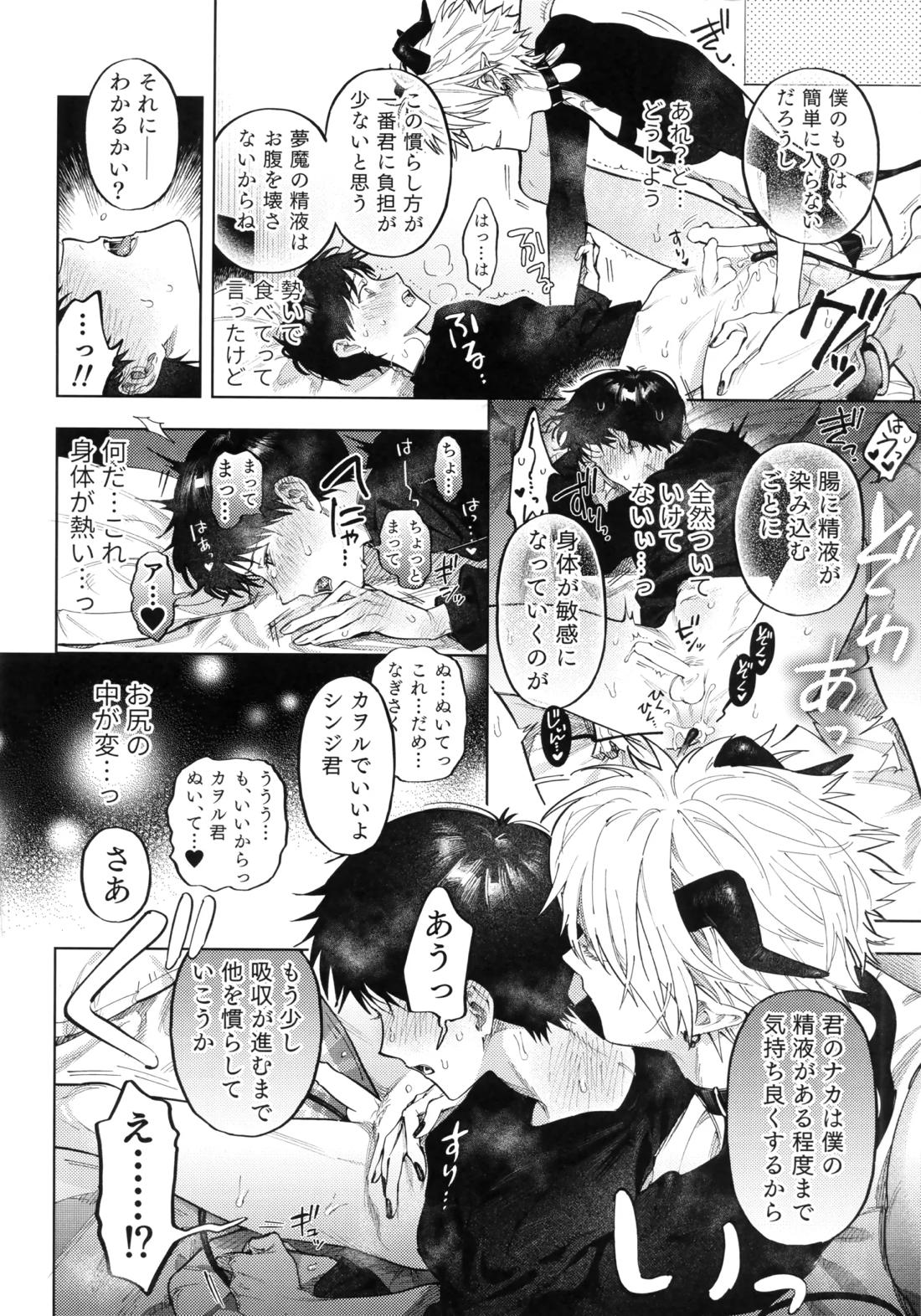 アイを捧ぐ問題児【新世紀エヴァンゲリオン/カヲシン】 page 25