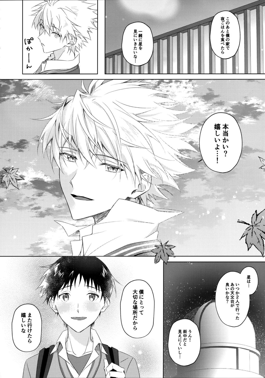 スターゲイザー【新世紀エヴァンゲリオン/カヲシン】 page 13