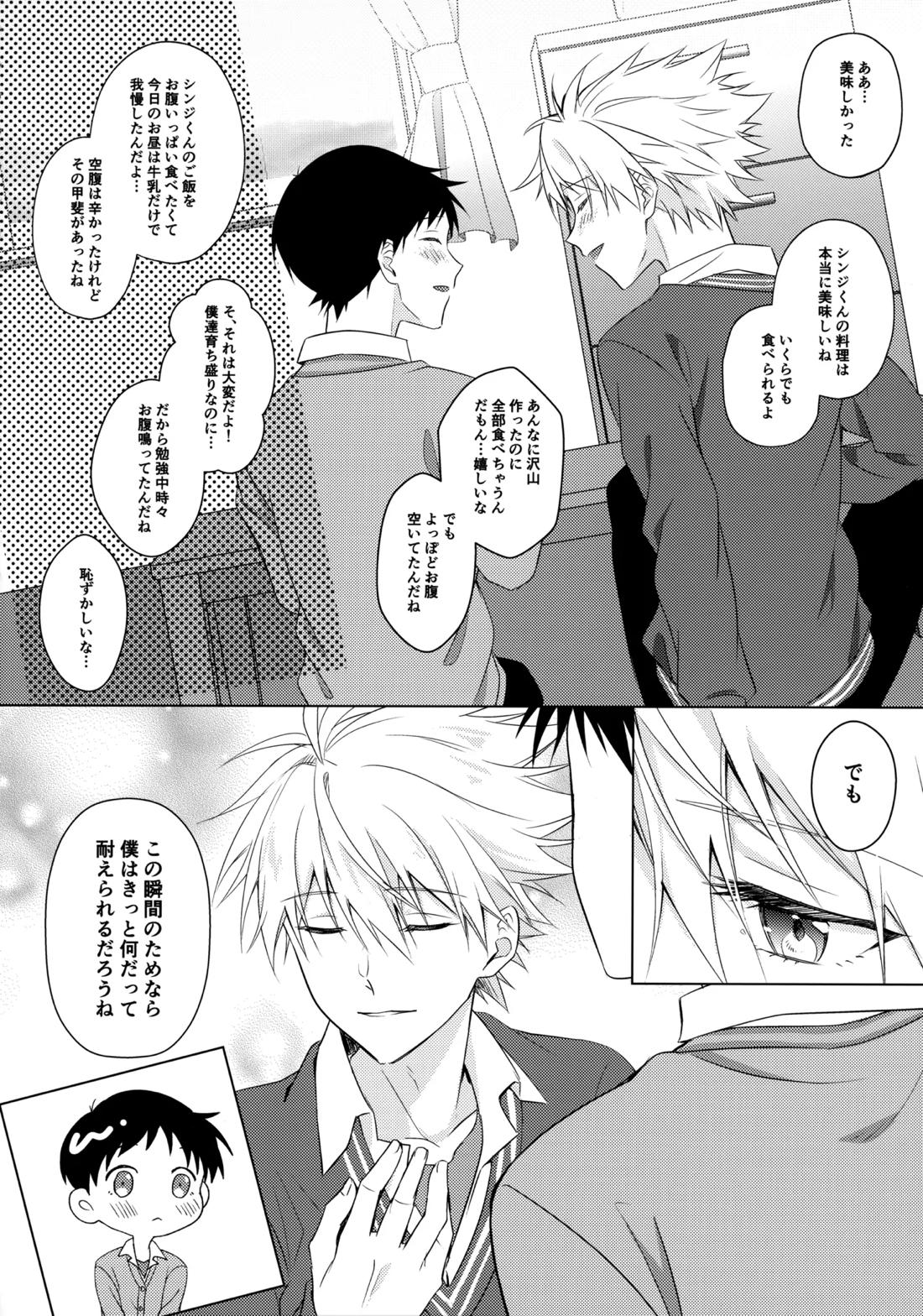 スターゲイザー【新世紀エヴァンゲリオン/カヲシン】 page 15
