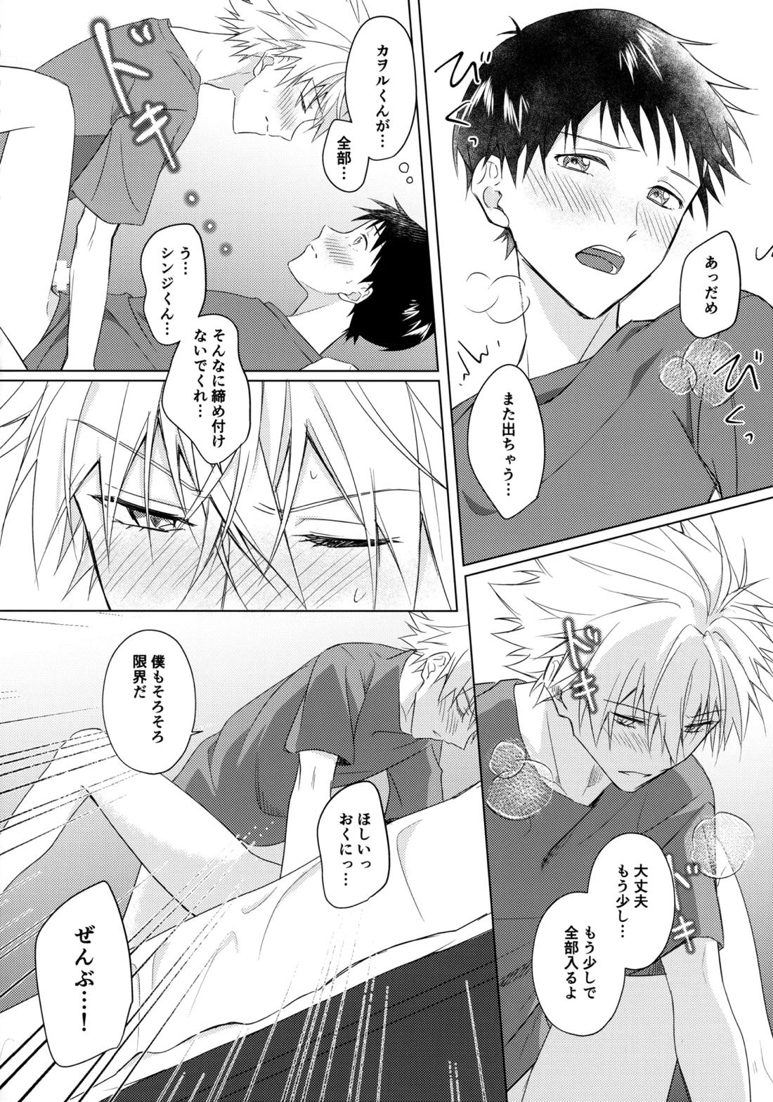 スターゲイザー【新世紀エヴァンゲリオン/カヲシン】 page 29