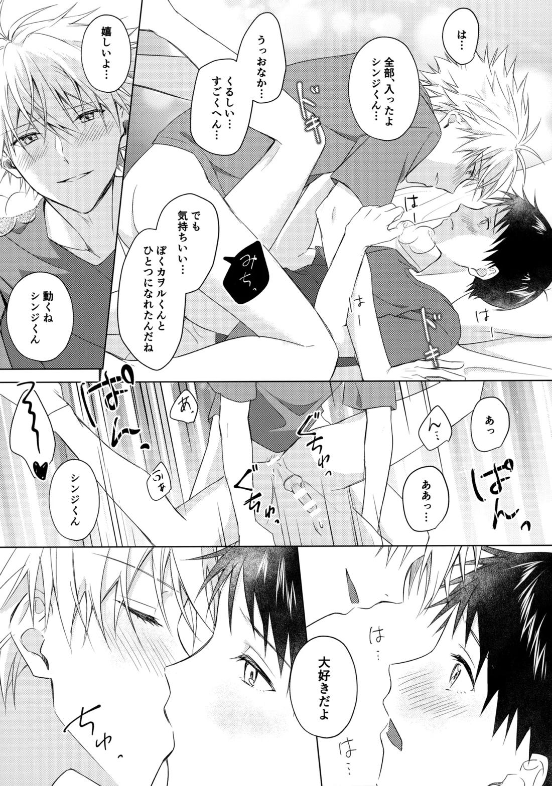 スターゲイザー【新世紀エヴァンゲリオン/カヲシン】 page 30