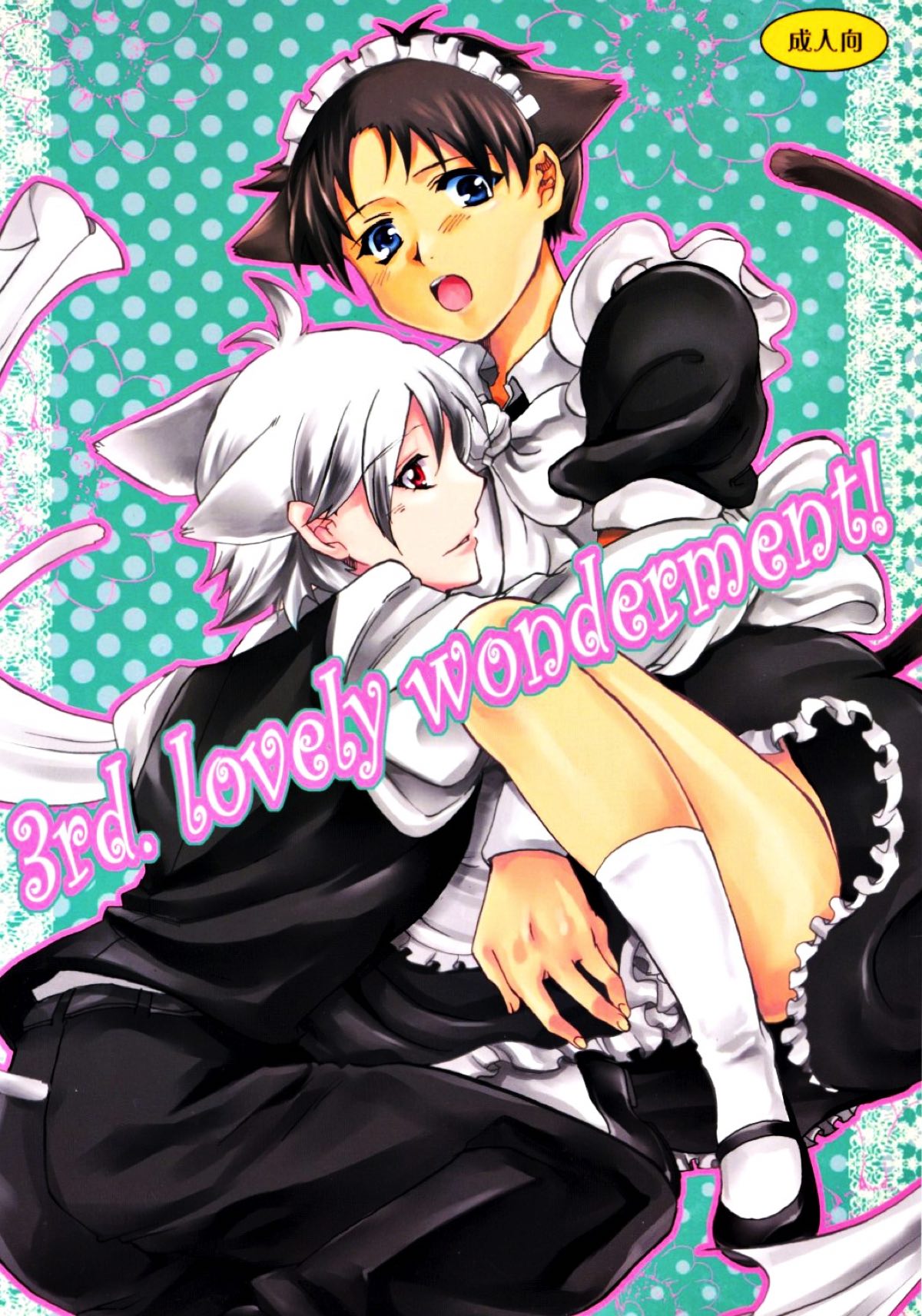3rd.lovely womderment!【新世紀エヴァンゲリオン/カヲシン】