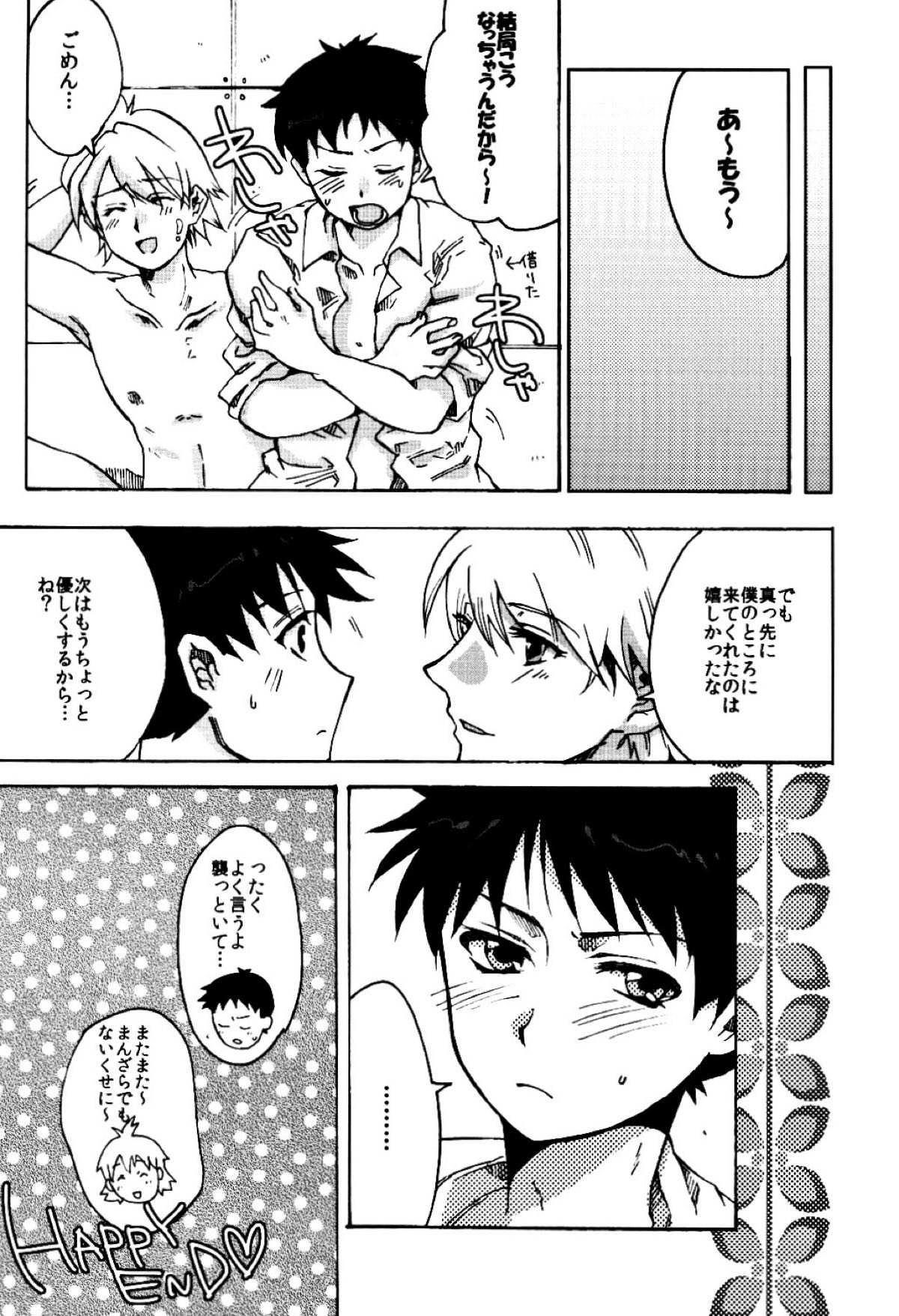 3rd.lovely womderment!【新世紀エヴァンゲリオン/カヲシン】 page 11
