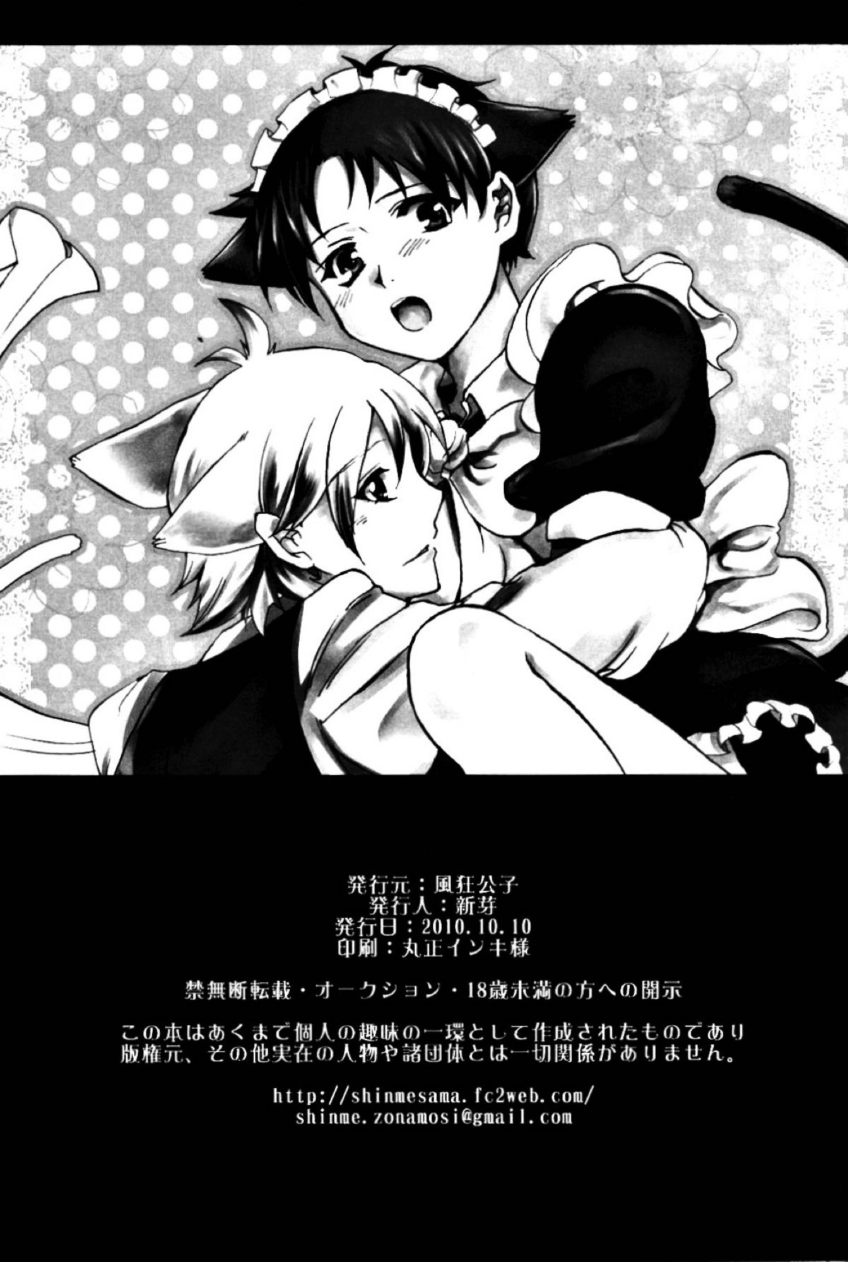 3rd.lovely womderment!【新世紀エヴァンゲリオン/カヲシン】 page 15