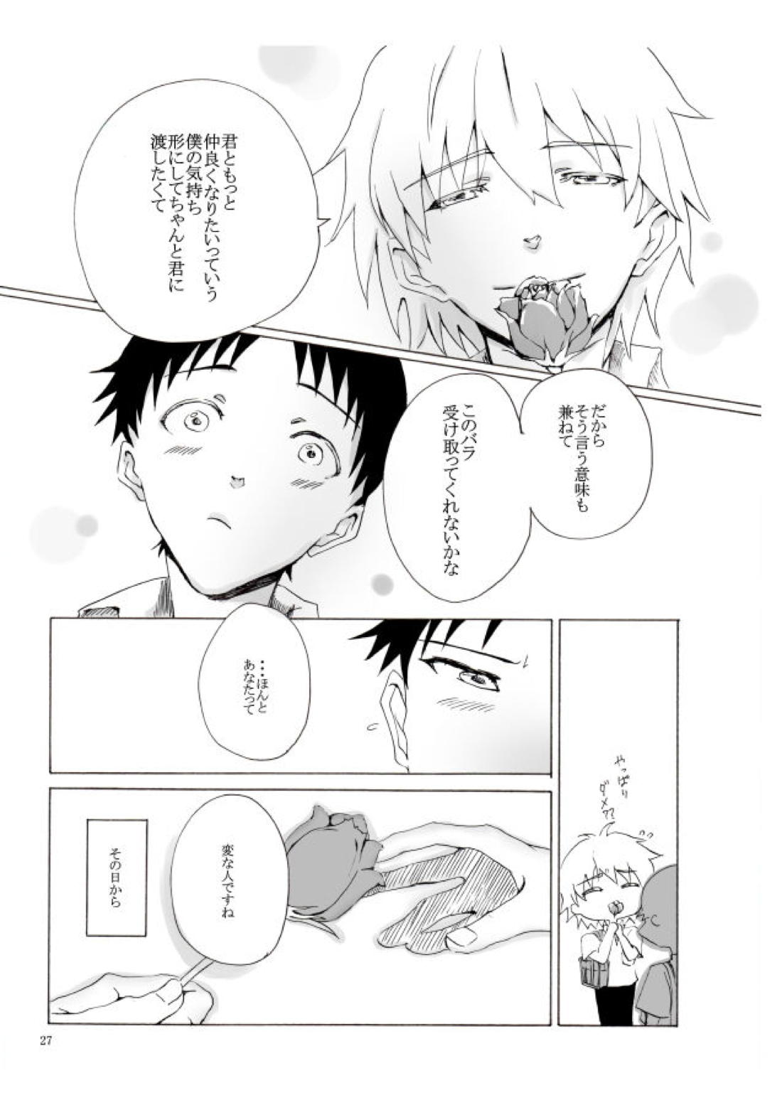 白い、白い宣告【新世紀エヴァンゲリオン/カヲシン】 page 28