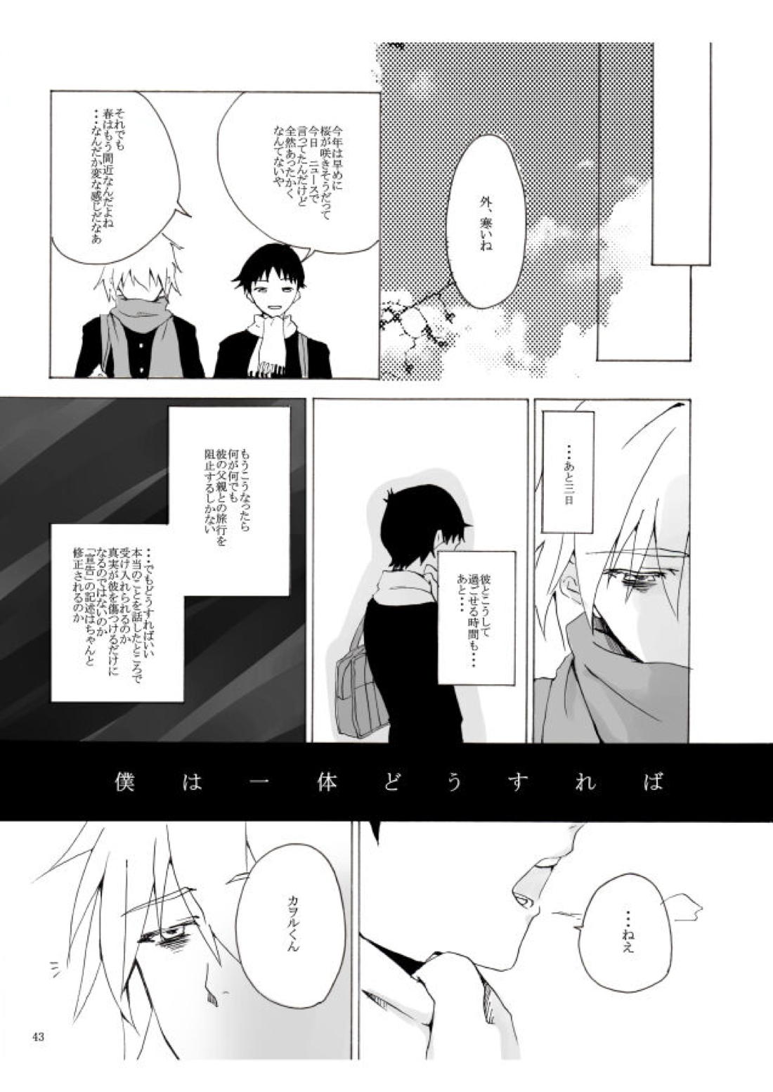 白い、白い宣告【新世紀エヴァンゲリオン/カヲシン】 page 44