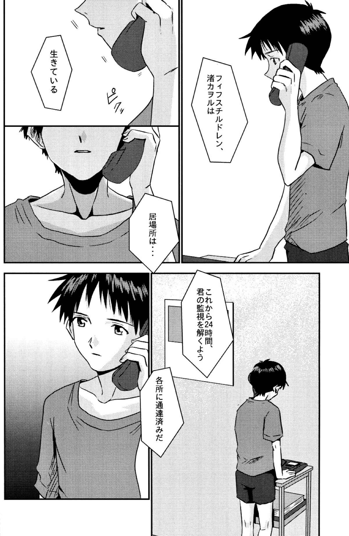 冷たい赤を抱いて【新世紀エヴァンゲリオン/カヲシン】 page 11