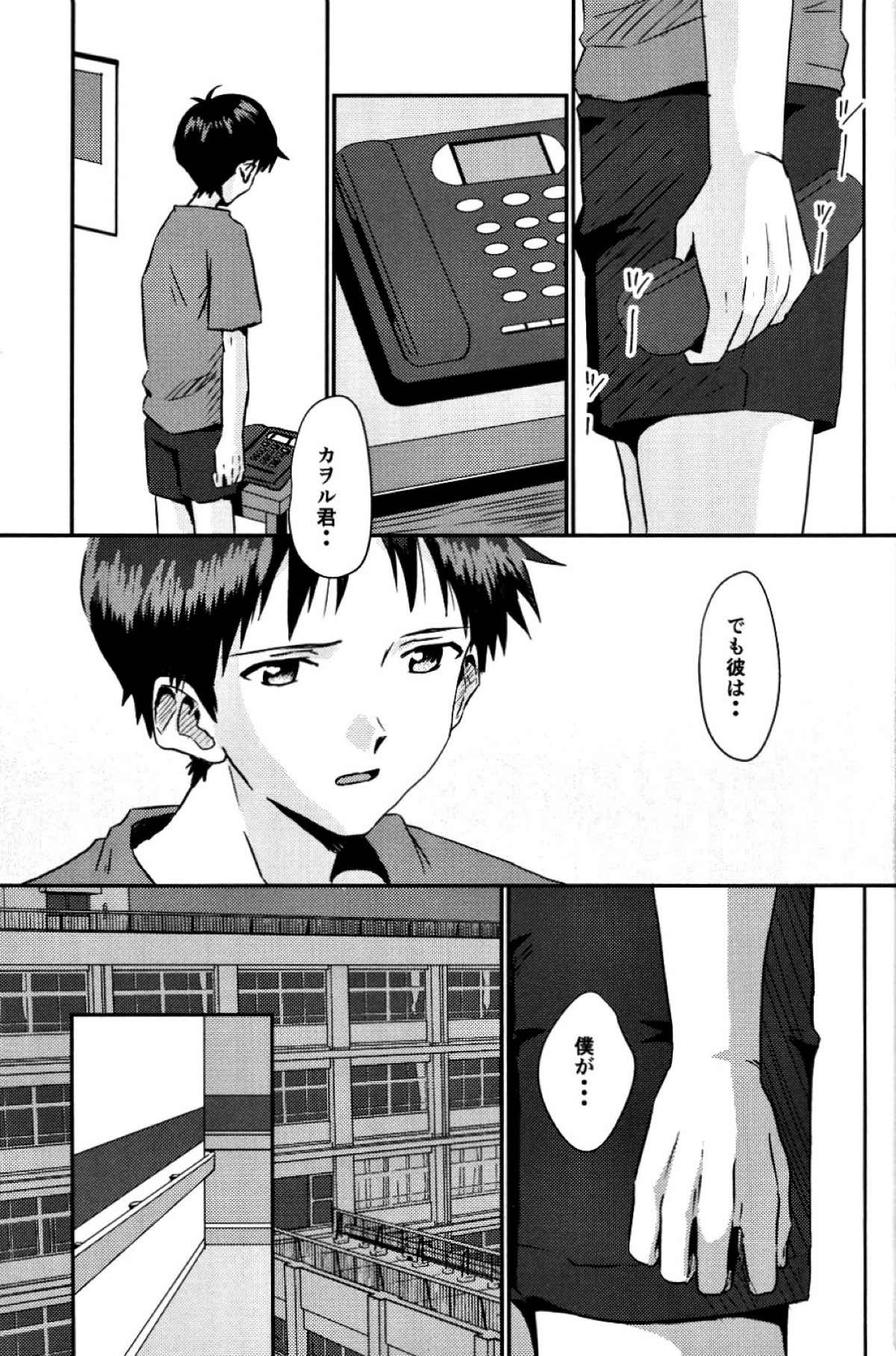 冷たい赤を抱いて【新世紀エヴァンゲリオン/カヲシン】 page 12