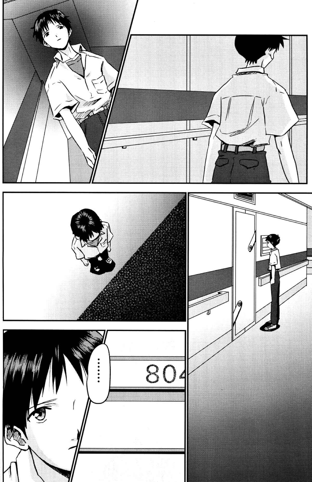 冷たい赤を抱いて【新世紀エヴァンゲリオン/カヲシン】 page 13