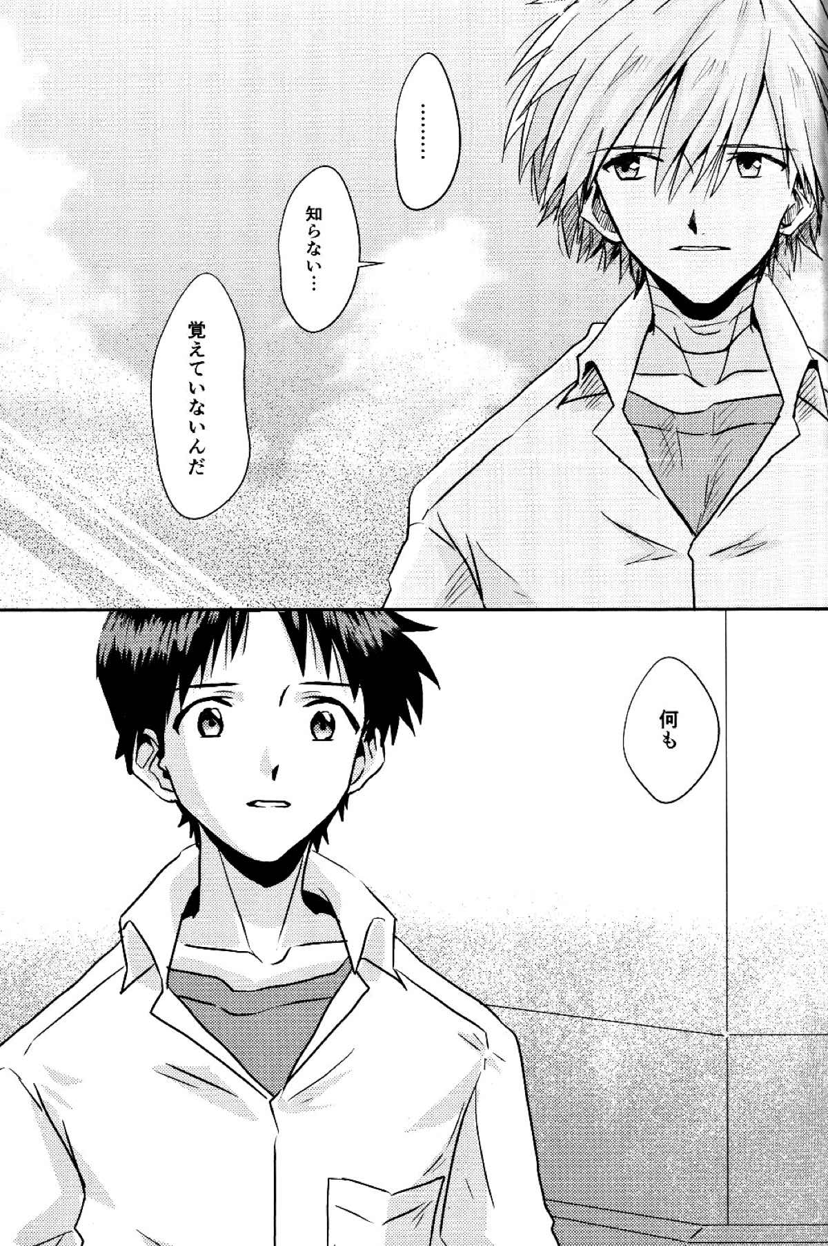 冷たい赤を抱いて【新世紀エヴァンゲリオン/カヲシン】 page 18