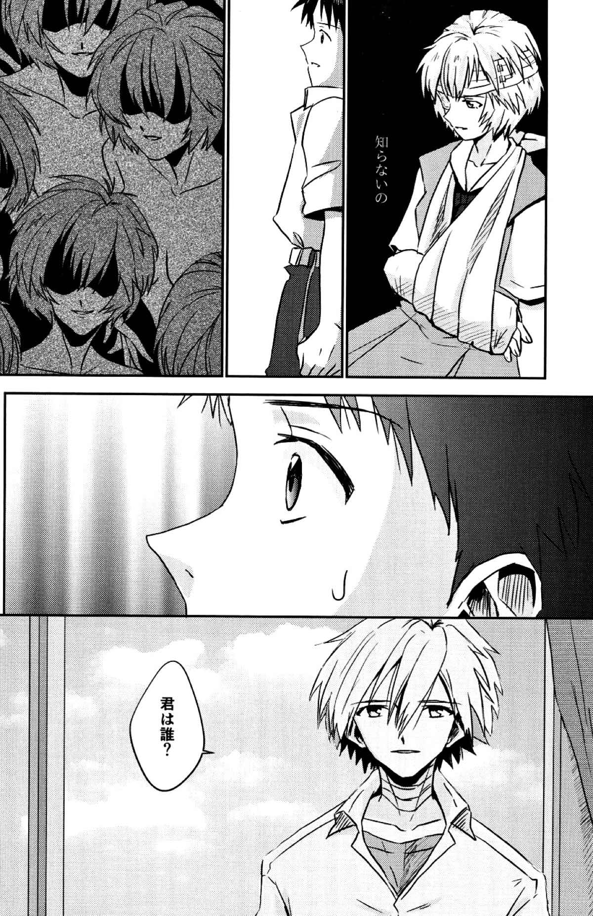 冷たい赤を抱いて【新世紀エヴァンゲリオン/カヲシン】 page 19