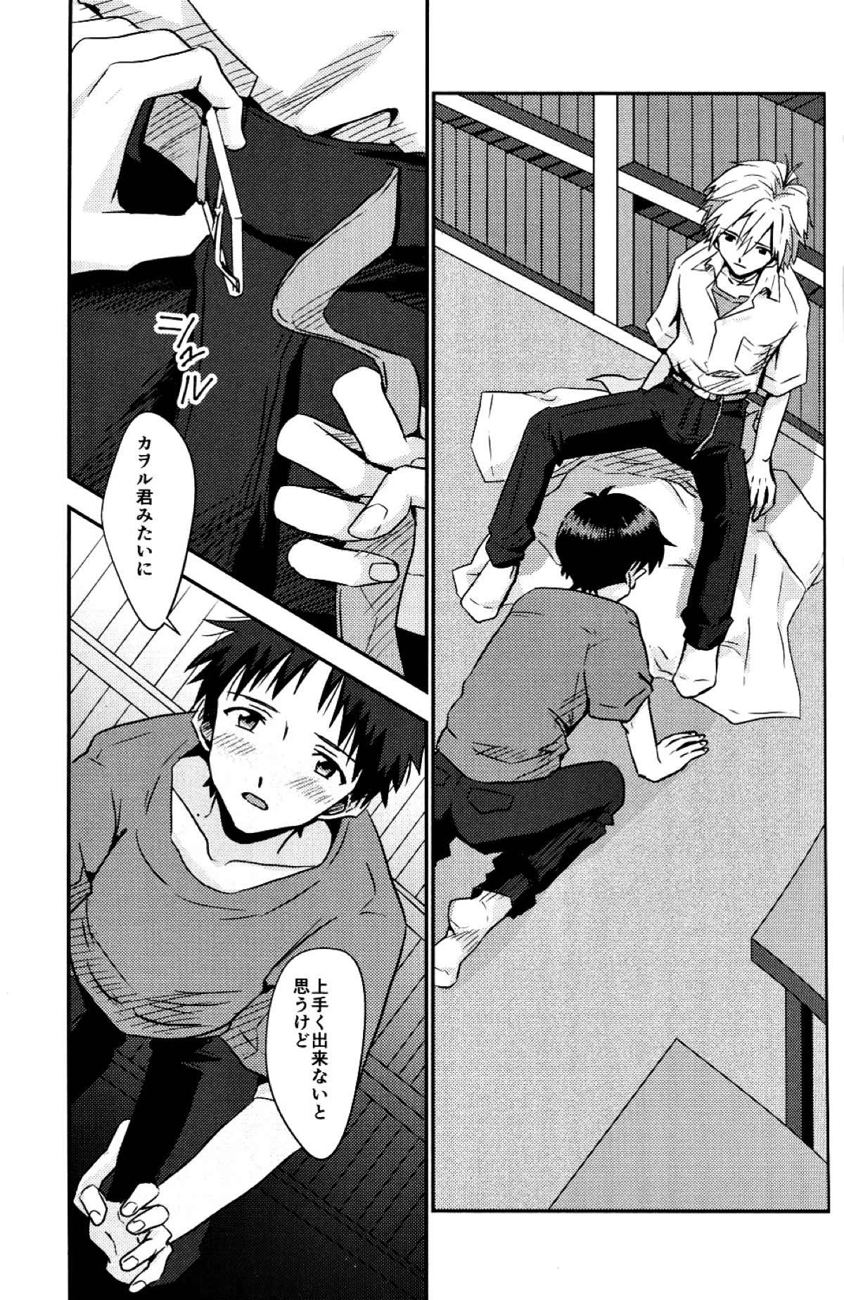 冷たい赤を抱いて【新世紀エヴァンゲリオン/カヲシン】 page 28