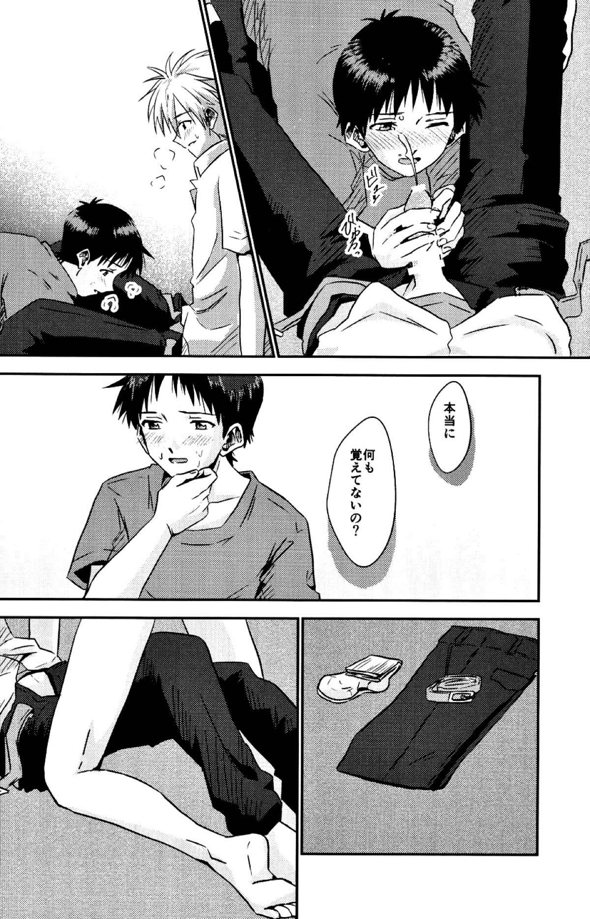 冷たい赤を抱いて【新世紀エヴァンゲリオン/カヲシン】 page 31