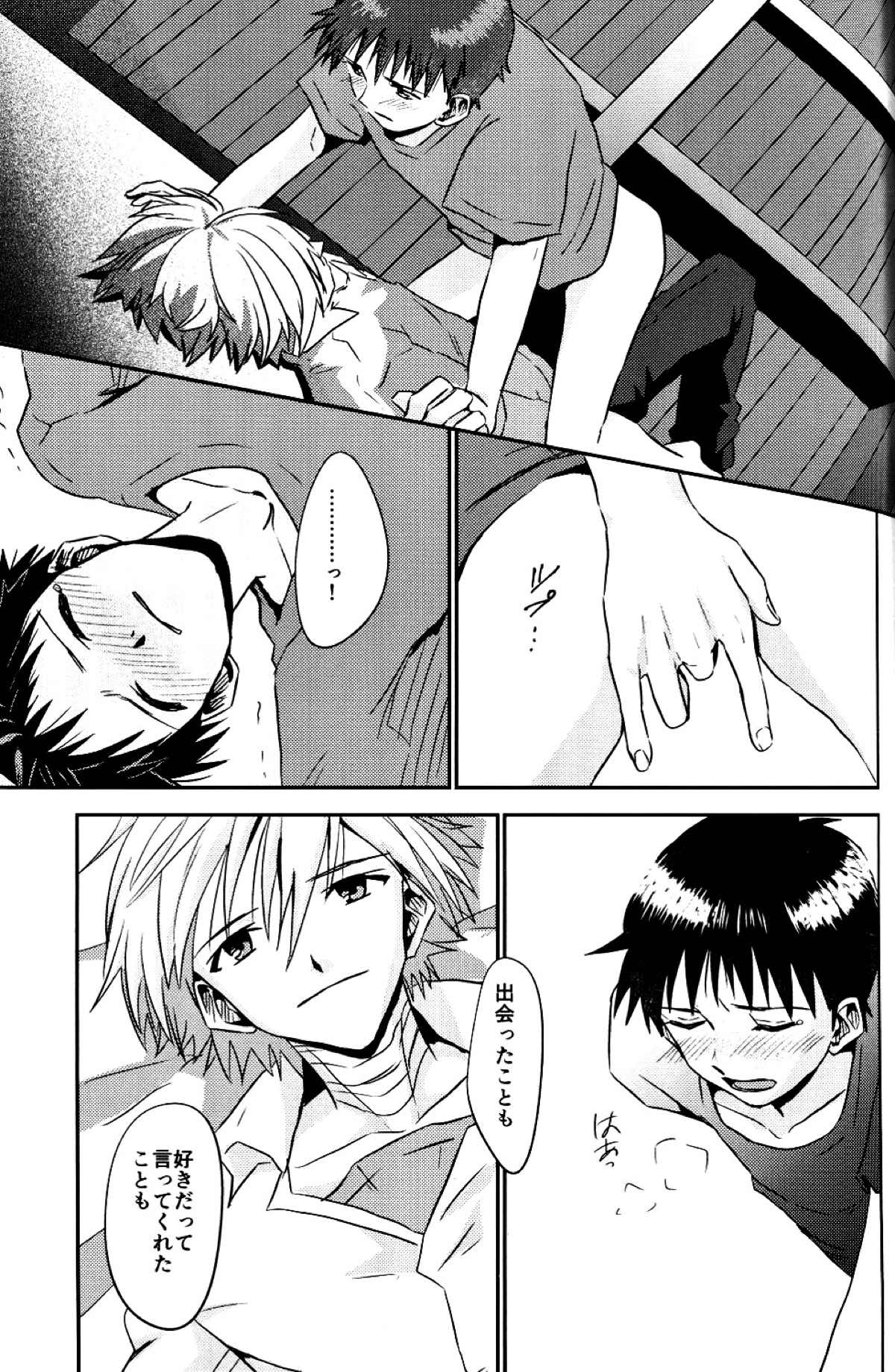 冷たい赤を抱いて【新世紀エヴァンゲリオン/カヲシン】 page 32
