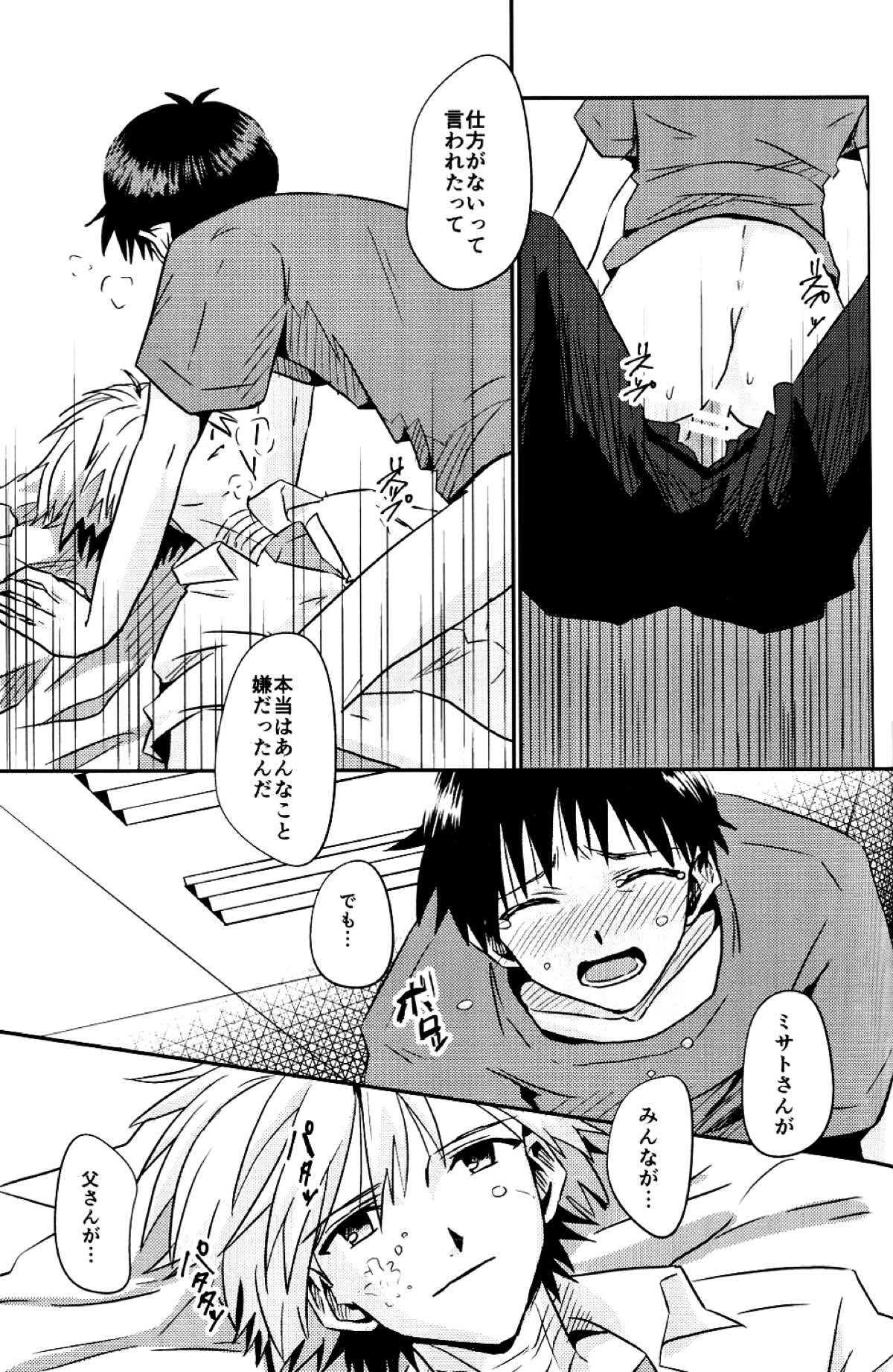 冷たい赤を抱いて【新世紀エヴァンゲリオン/カヲシン】 page 34