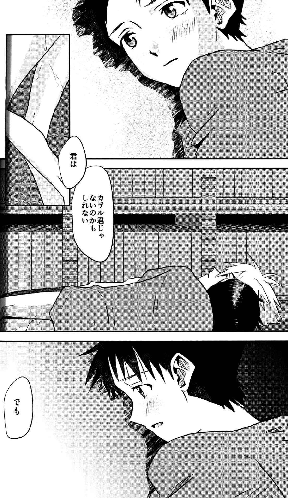 冷たい赤を抱いて【新世紀エヴァンゲリオン/カヲシン】 page 41