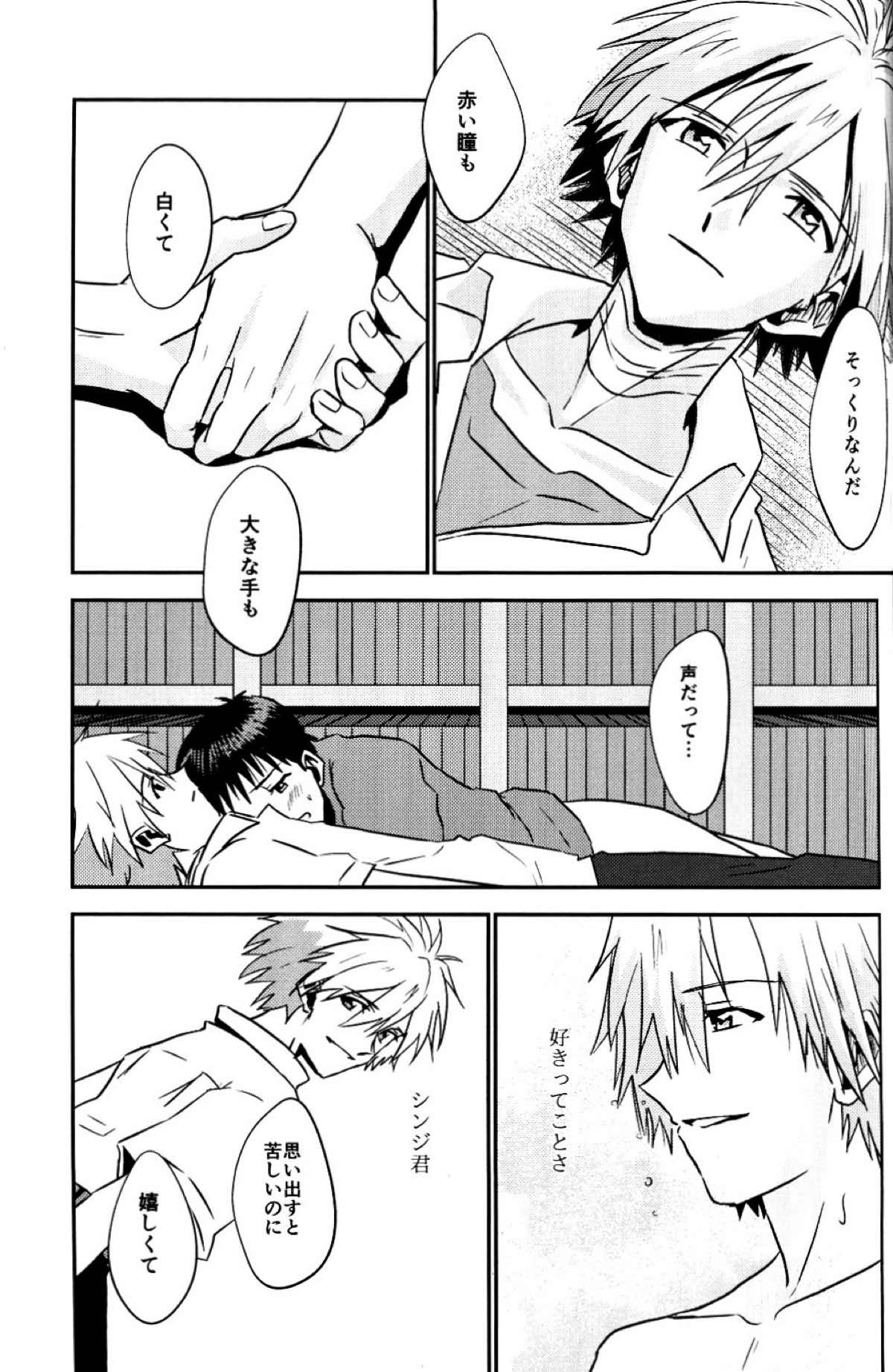 冷たい赤を抱いて【新世紀エヴァンゲリオン/カヲシン】 page 42