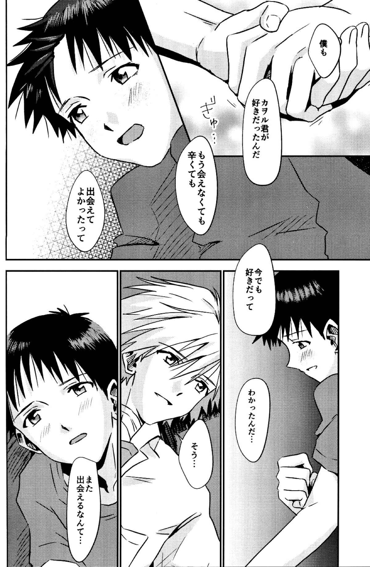 冷たい赤を抱いて【新世紀エヴァンゲリオン/カヲシン】 page 43