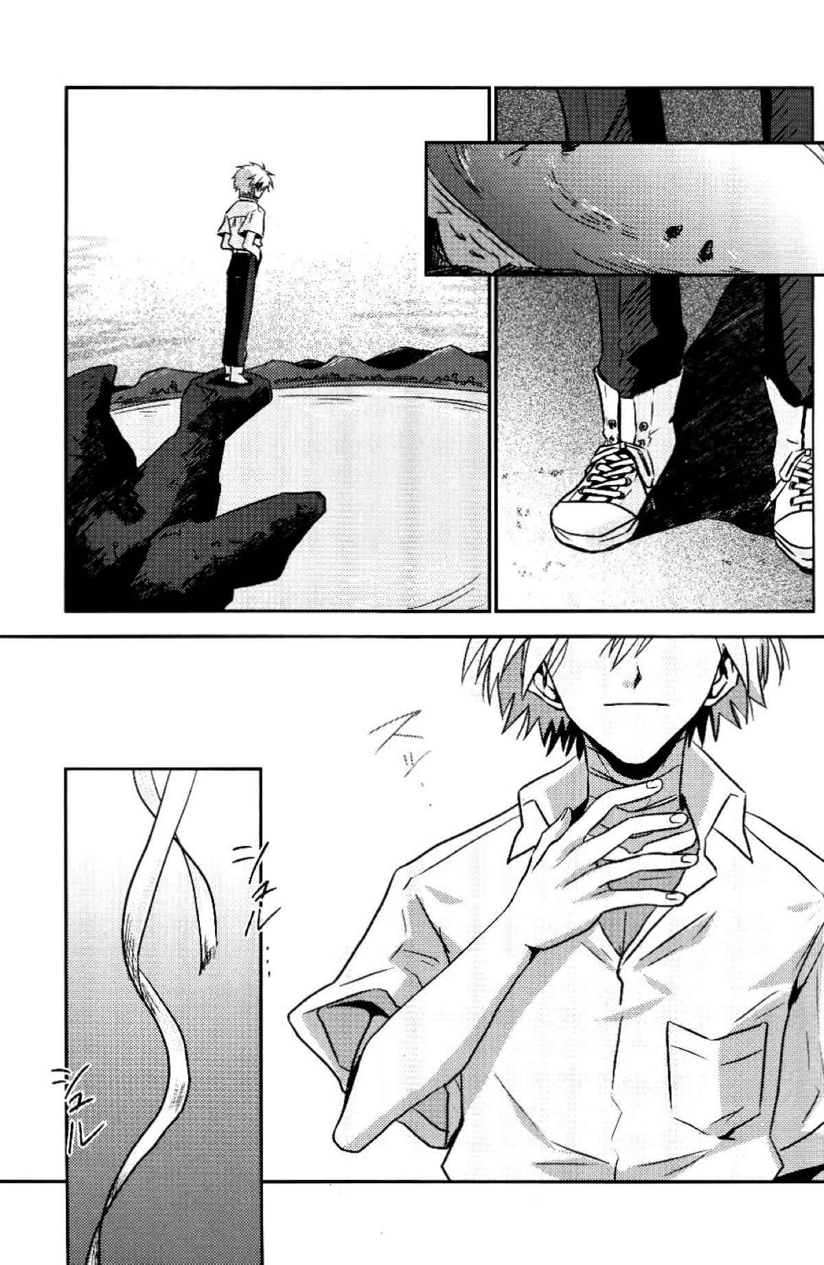 冷たい赤を抱いて【新世紀エヴァンゲリオン/カヲシン】 page 46