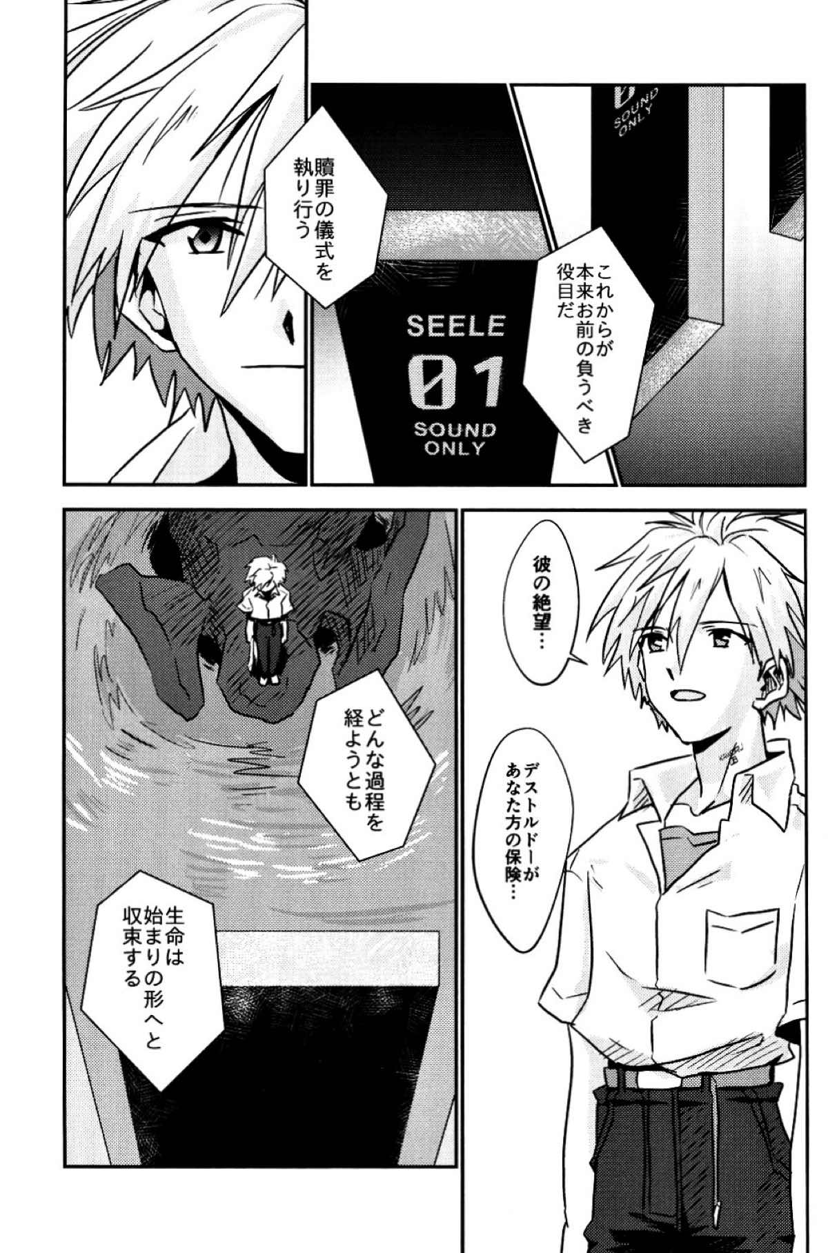 冷たい赤を抱いて【新世紀エヴァンゲリオン/カヲシン】 page 48