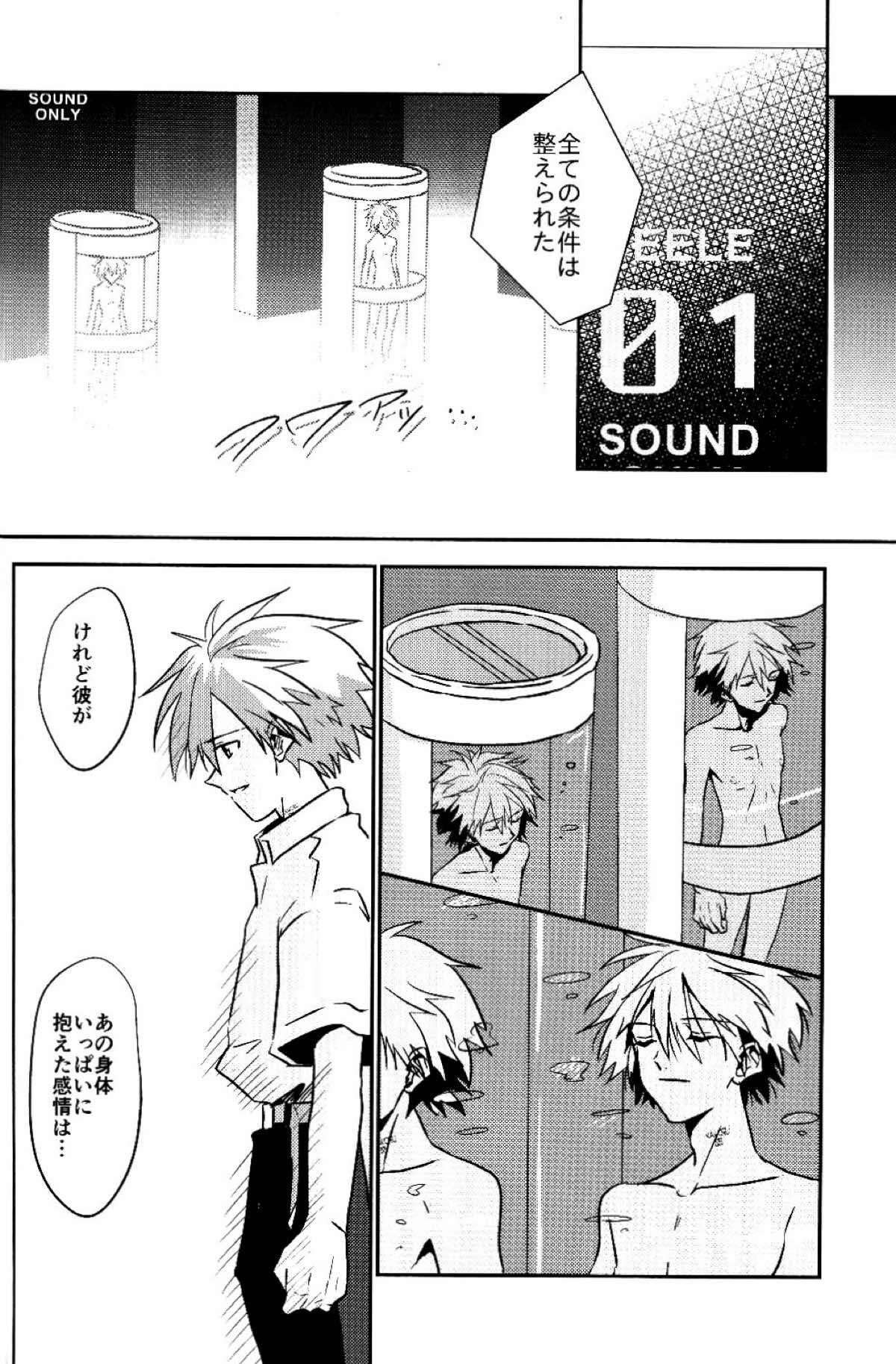 冷たい赤を抱いて【新世紀エヴァンゲリオン/カヲシン】 page 49