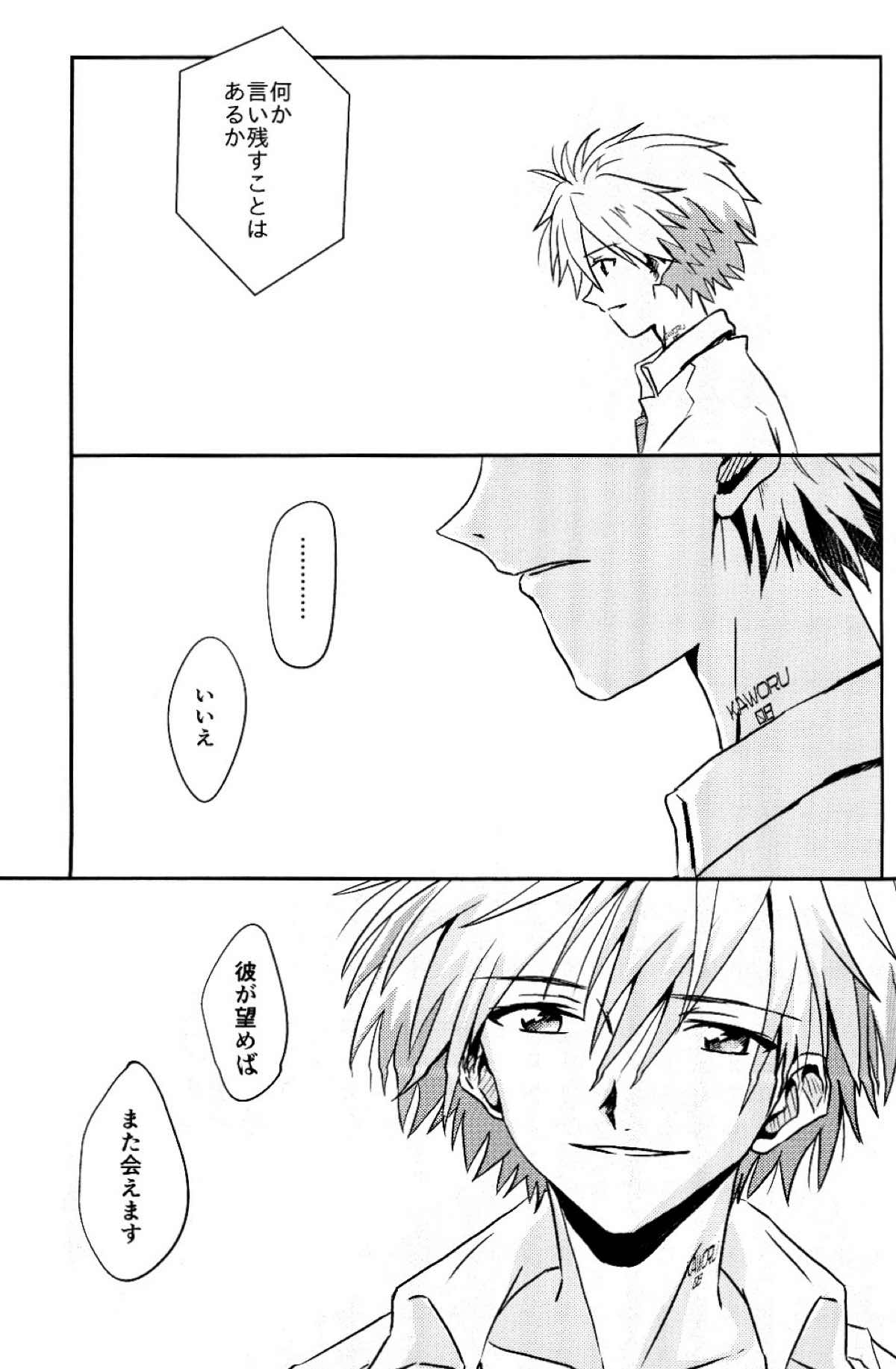 冷たい赤を抱いて【新世紀エヴァンゲリオン/カヲシン】 page 50