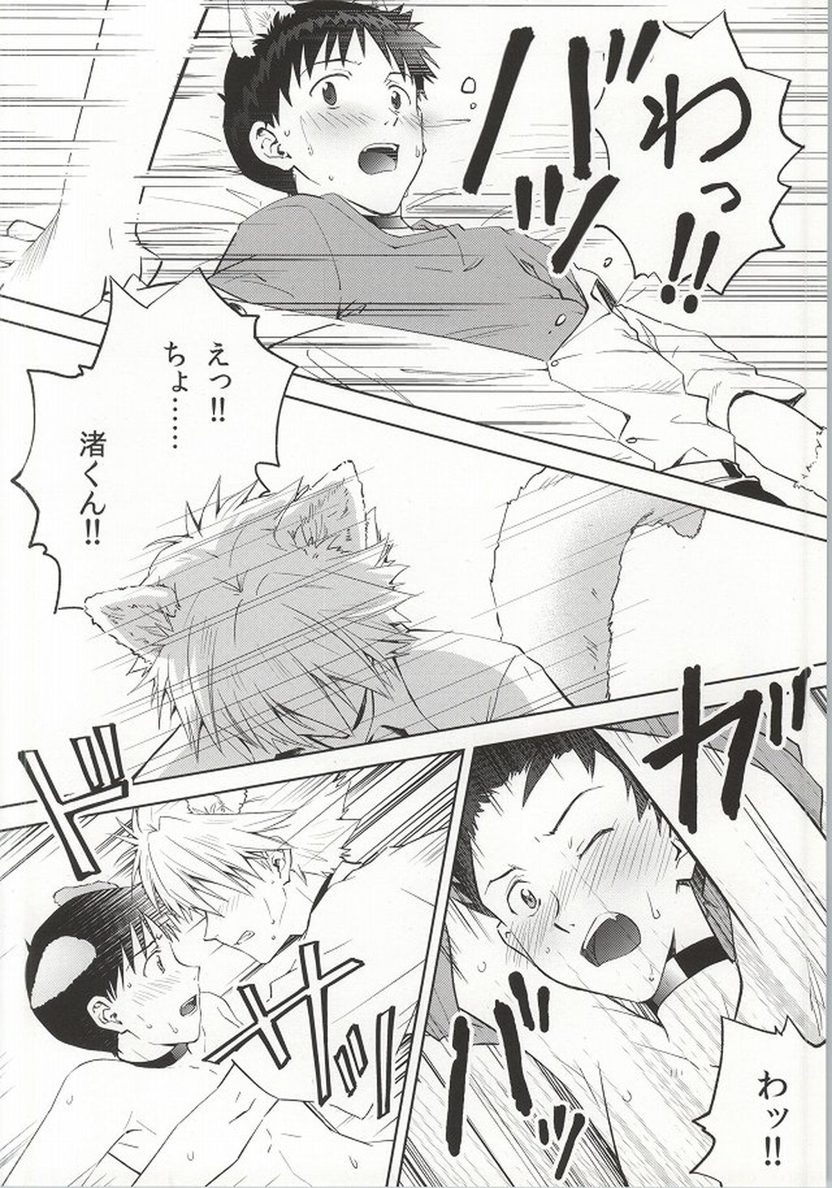 わんこな彼氏おとな向け【新世紀エヴァンゲリオン/カヲシン】 page 11