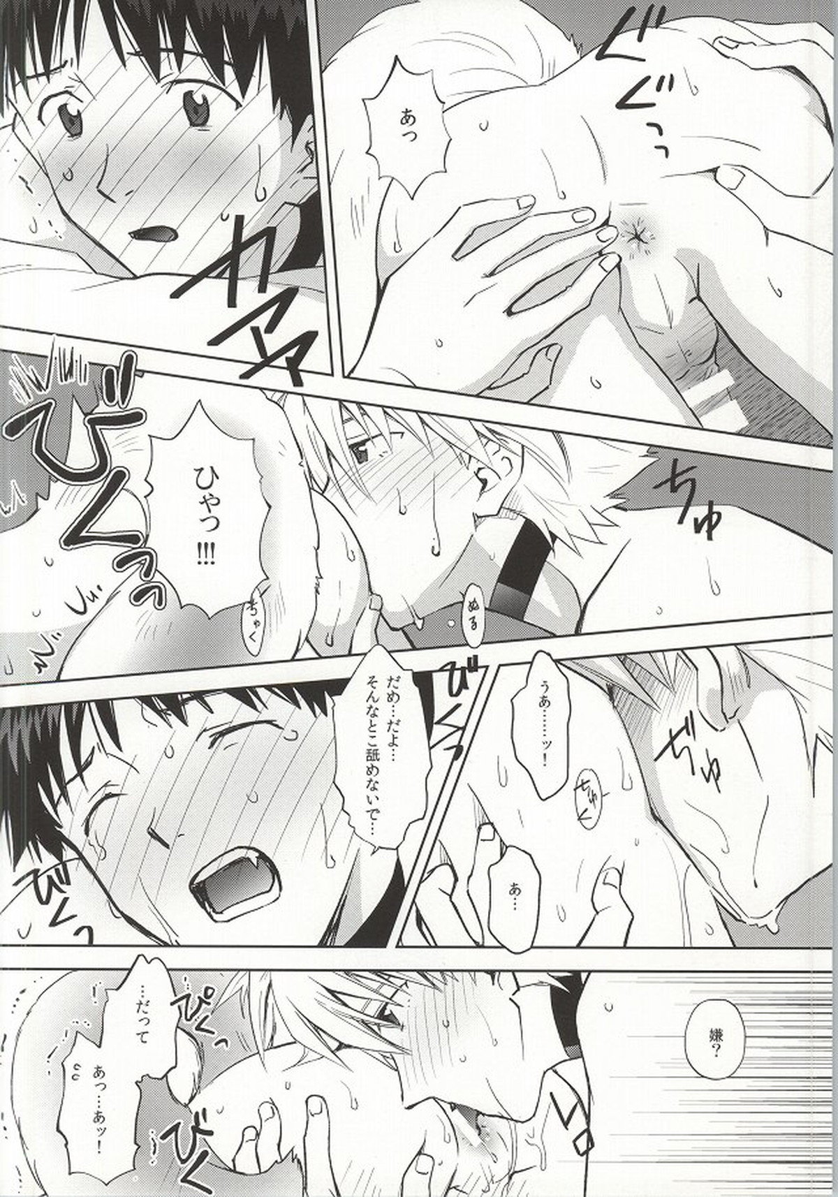 わんこな彼氏おとな向け【新世紀エヴァンゲリオン/カヲシン】 page 15