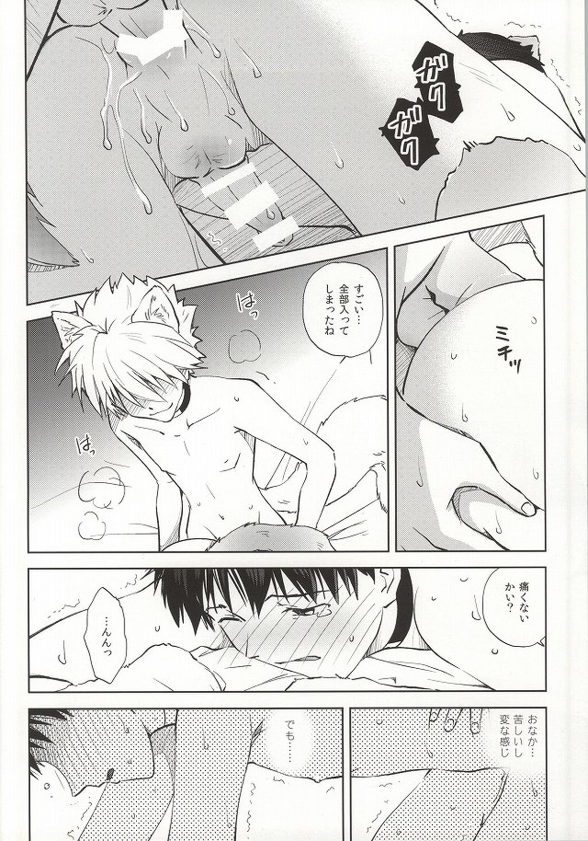わんこな彼氏おとな向け【新世紀エヴァンゲリオン/カヲシン】 page 19