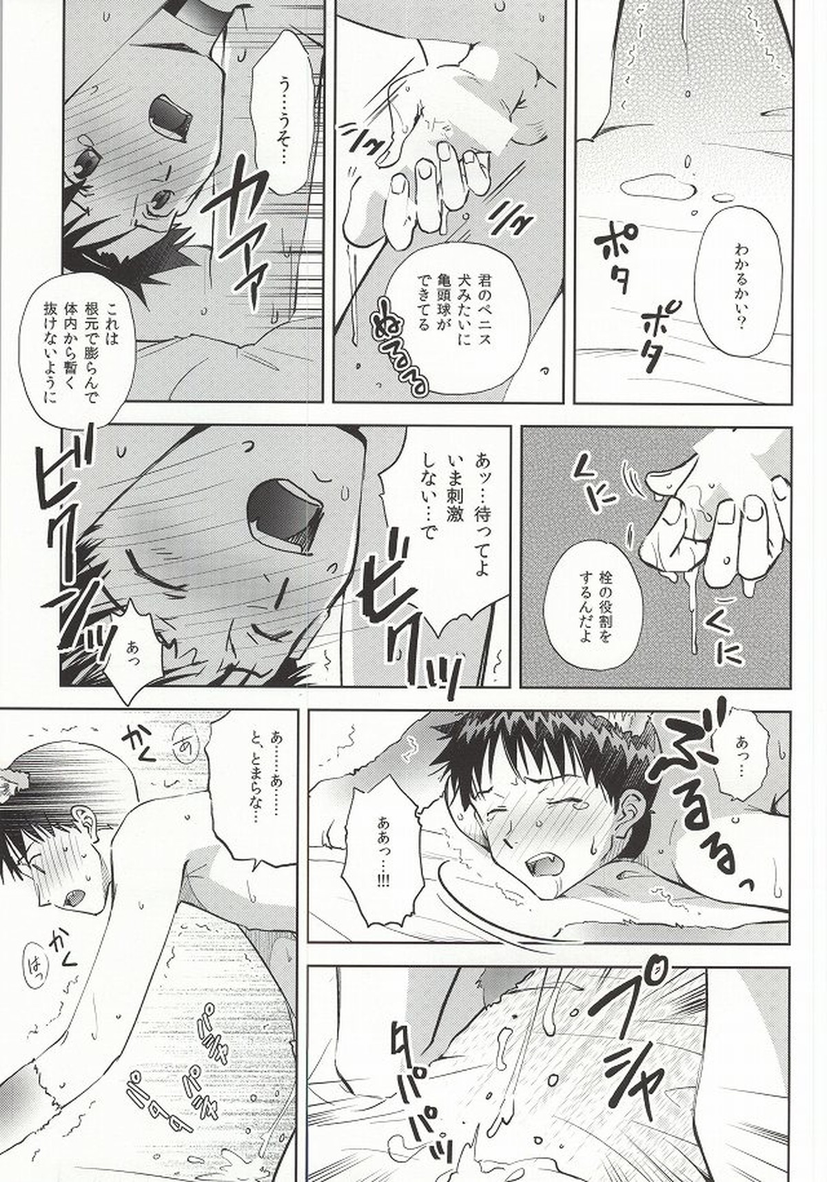 わんこな彼氏おとな向け【新世紀エヴァンゲリオン/カヲシン】 page 22
