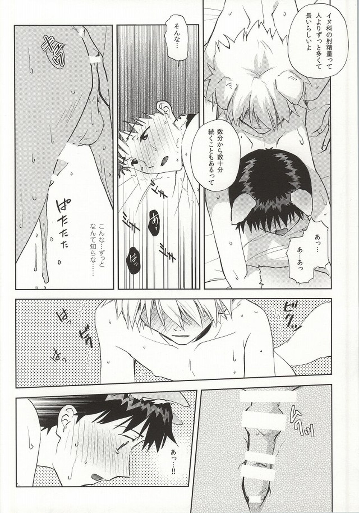わんこな彼氏おとな向け【新世紀エヴァンゲリオン/カヲシン】 page 23